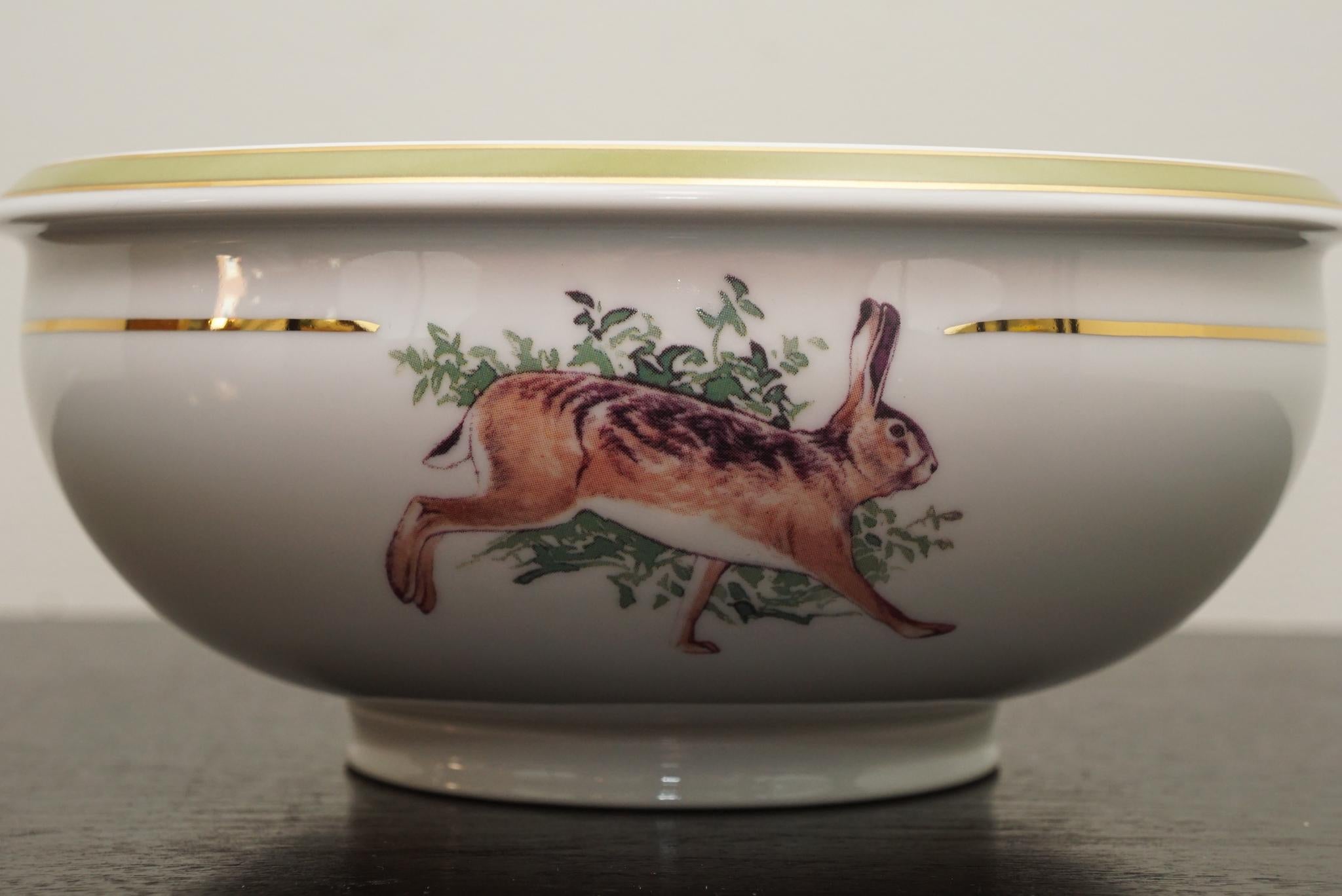 Contemporary Hollohazi Porcelain Dinnerware Set for Six plus Serving Pieces For Sale