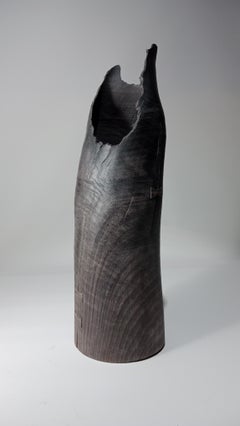 Vaso cavo ricavato da una quercia fossile vecchia di 8000 anni