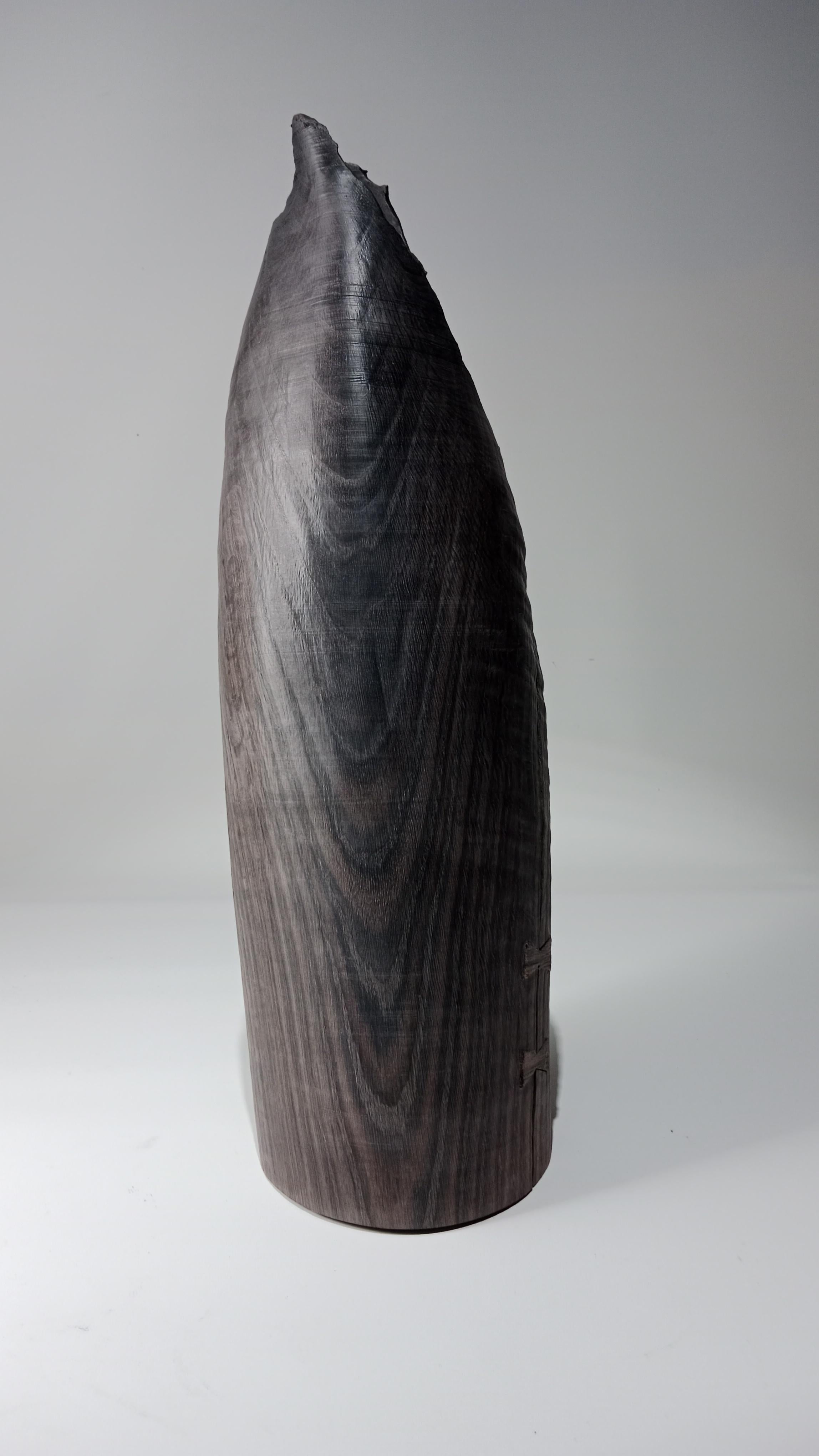 Organic Modern Hollow Vessel from 8000 Years Old Fossil Oak For Sale