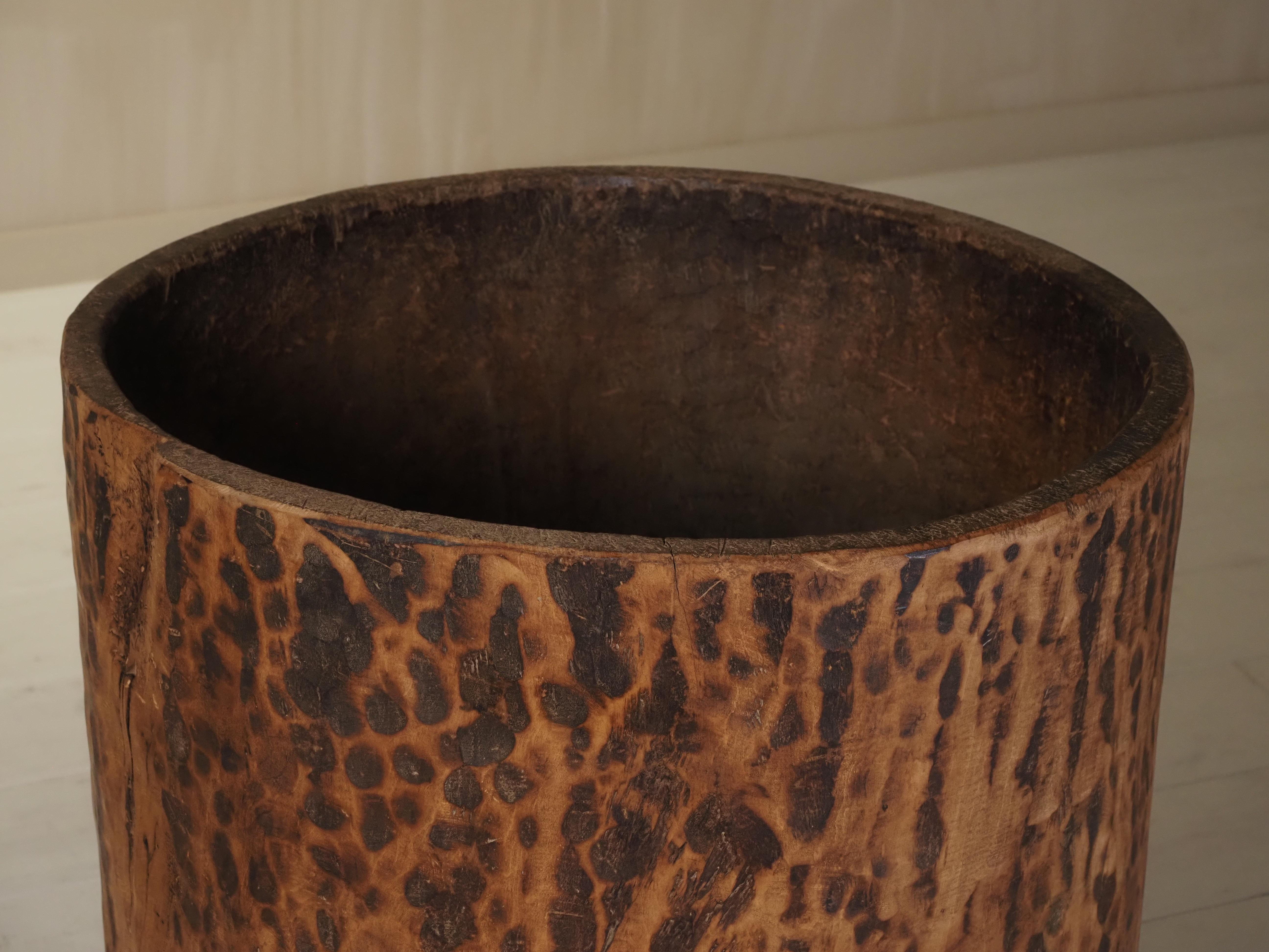 Hollowed tree trunk planter For Sale 3