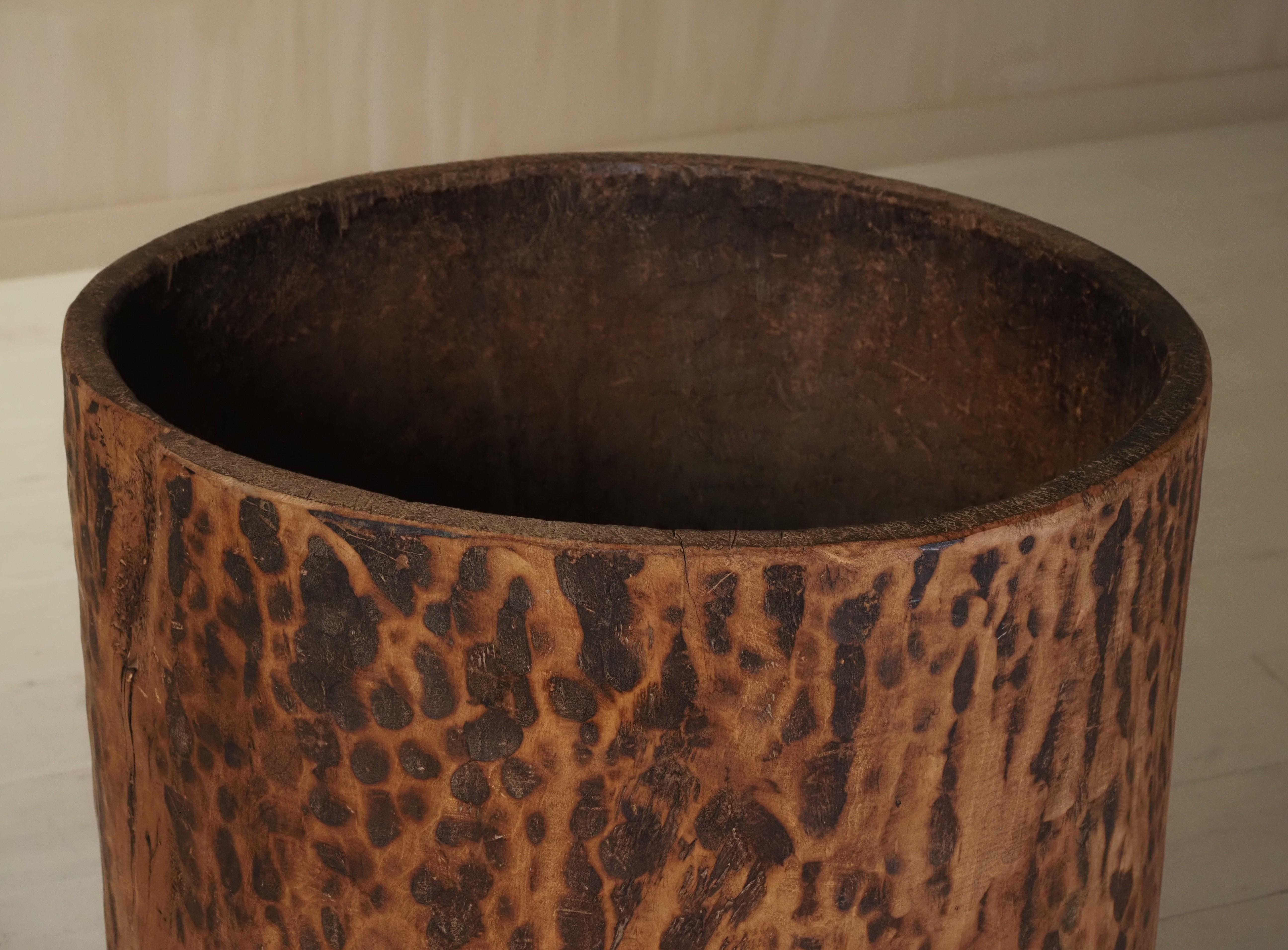 Hollowed tree trunk planter For Sale 4