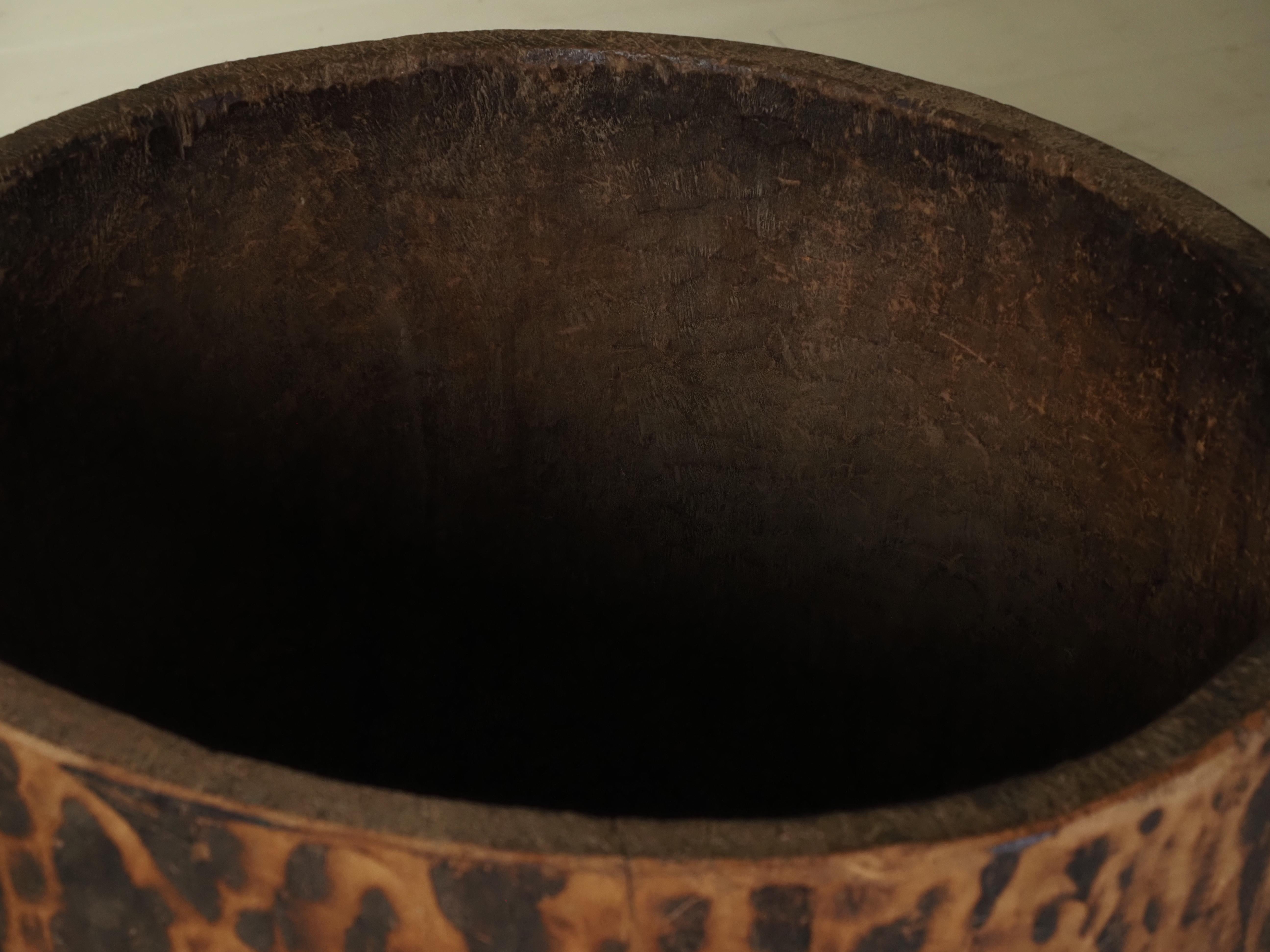 Hollowed tree trunk planter For Sale 5