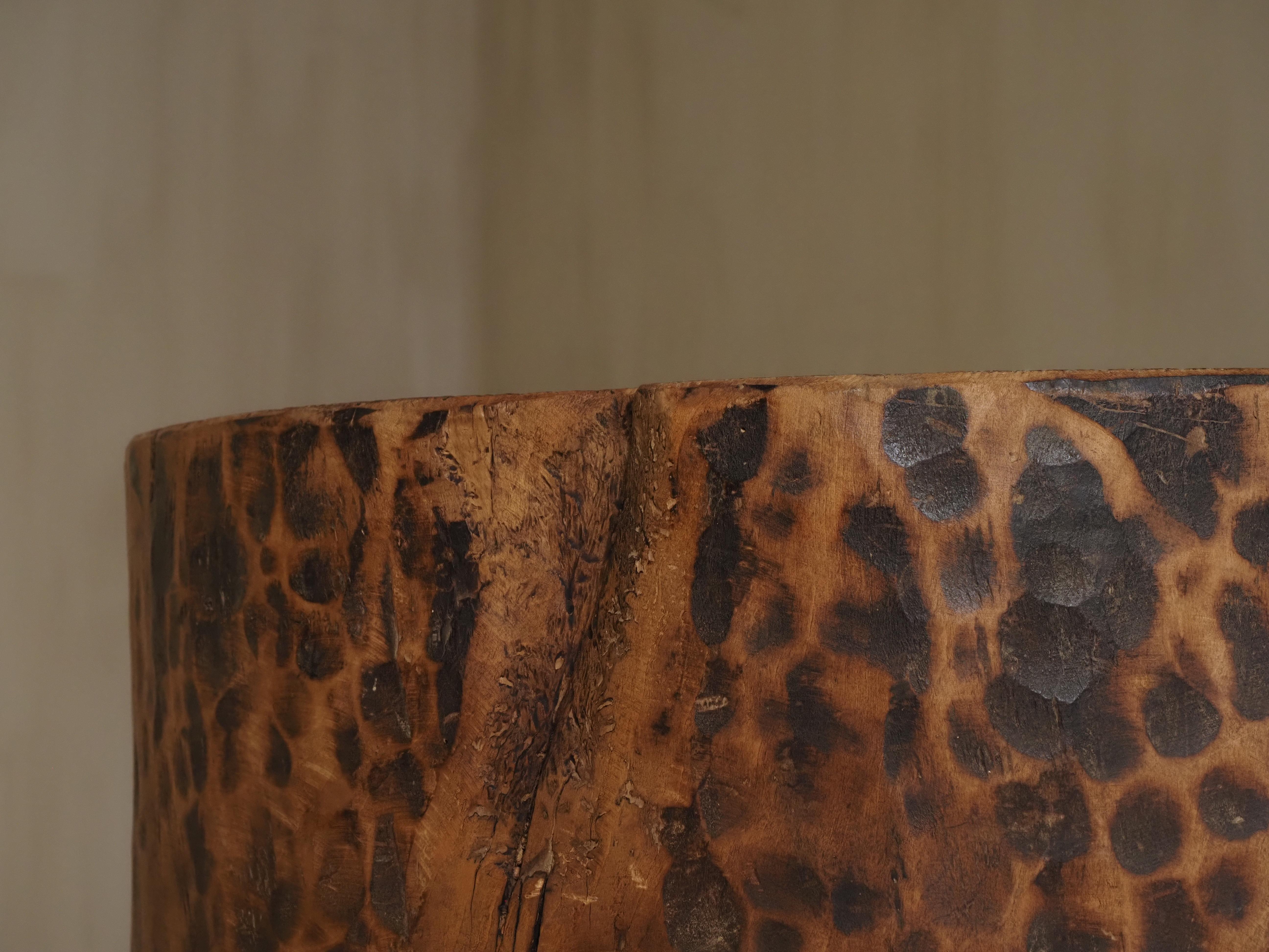 Hollowed tree trunk planter For Sale 6