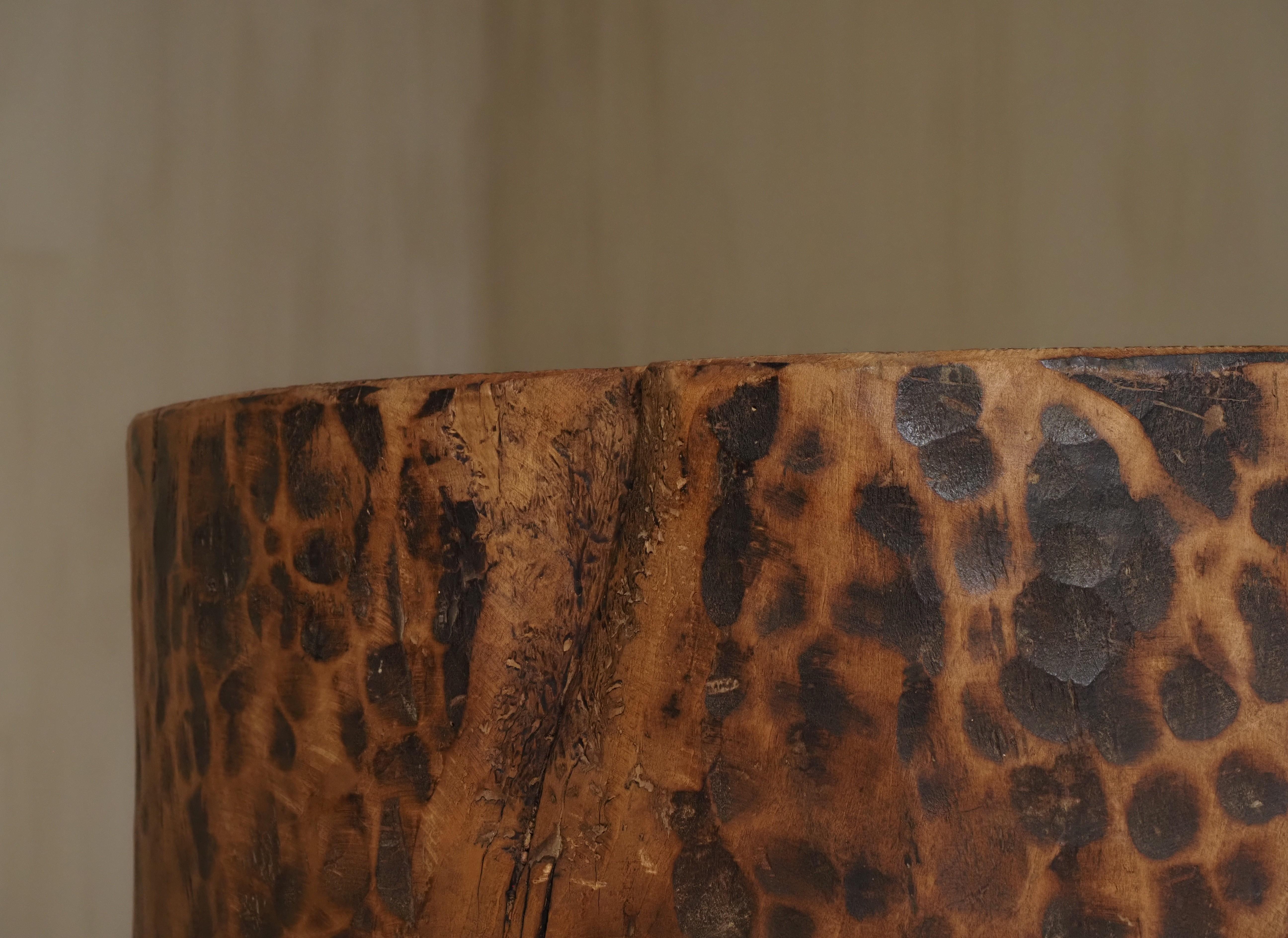 Hollowed tree trunk planter For Sale 7