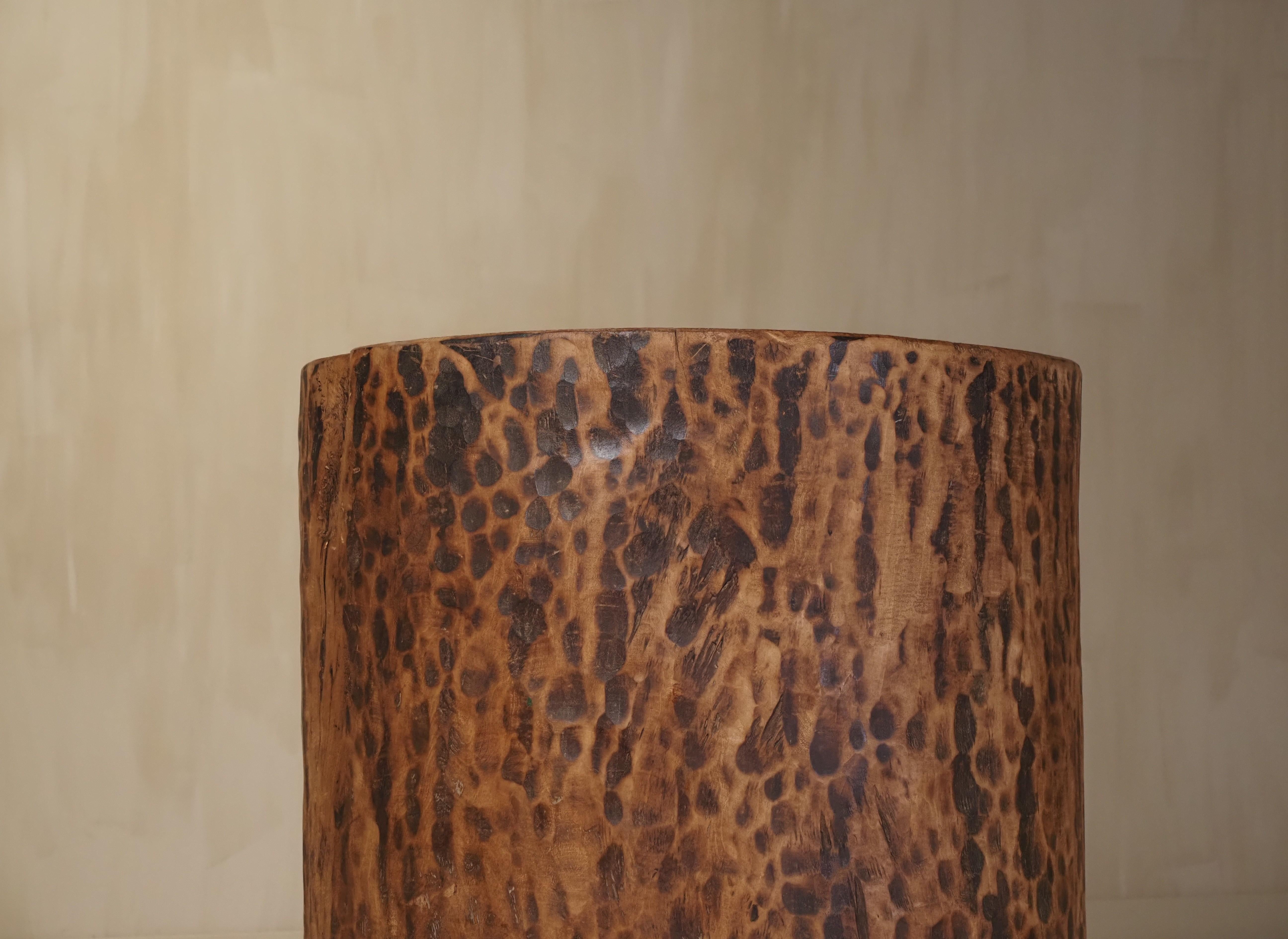 Hollowed tree trunk planter For Sale 1