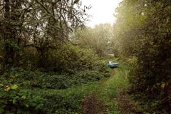 Road de la rivière : Milepost 38