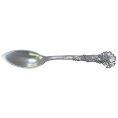 Holly by Tiffany & Co Sterling Silver Grapefruit Spoon Antique