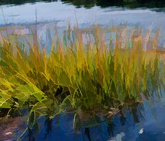 Boating Buddy, Centerport, LI : contemporary photography