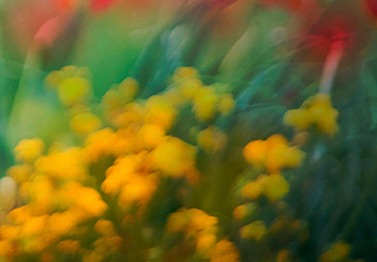 In Monet's Garden : Archival pigment print - Photograph by Holly Gordon