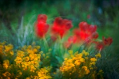 In Monet's Garden : Archival pigment print