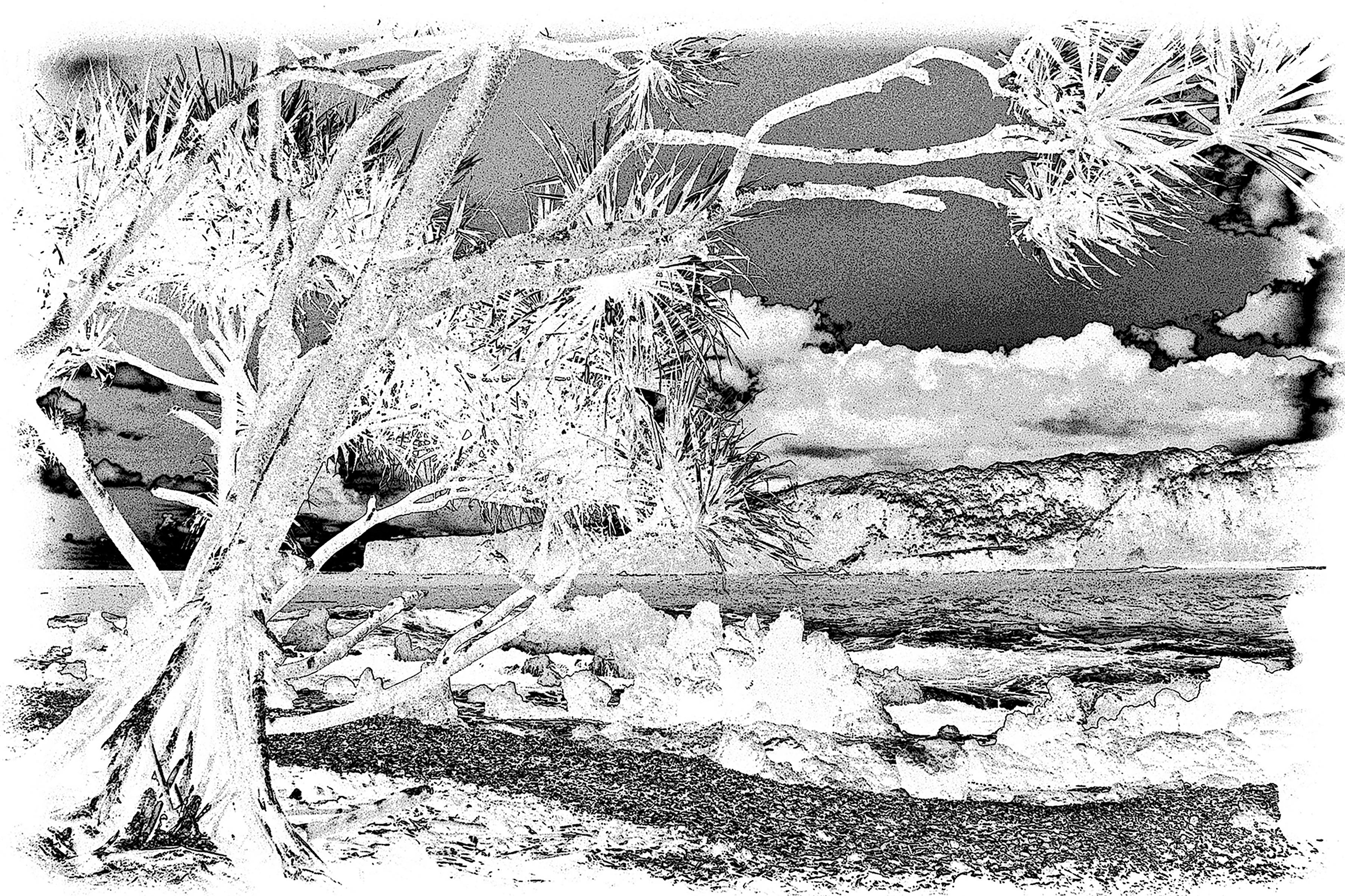 Landscape Photograph Holly Gordon - Série Water Music n° 0303 : photographie de paysage