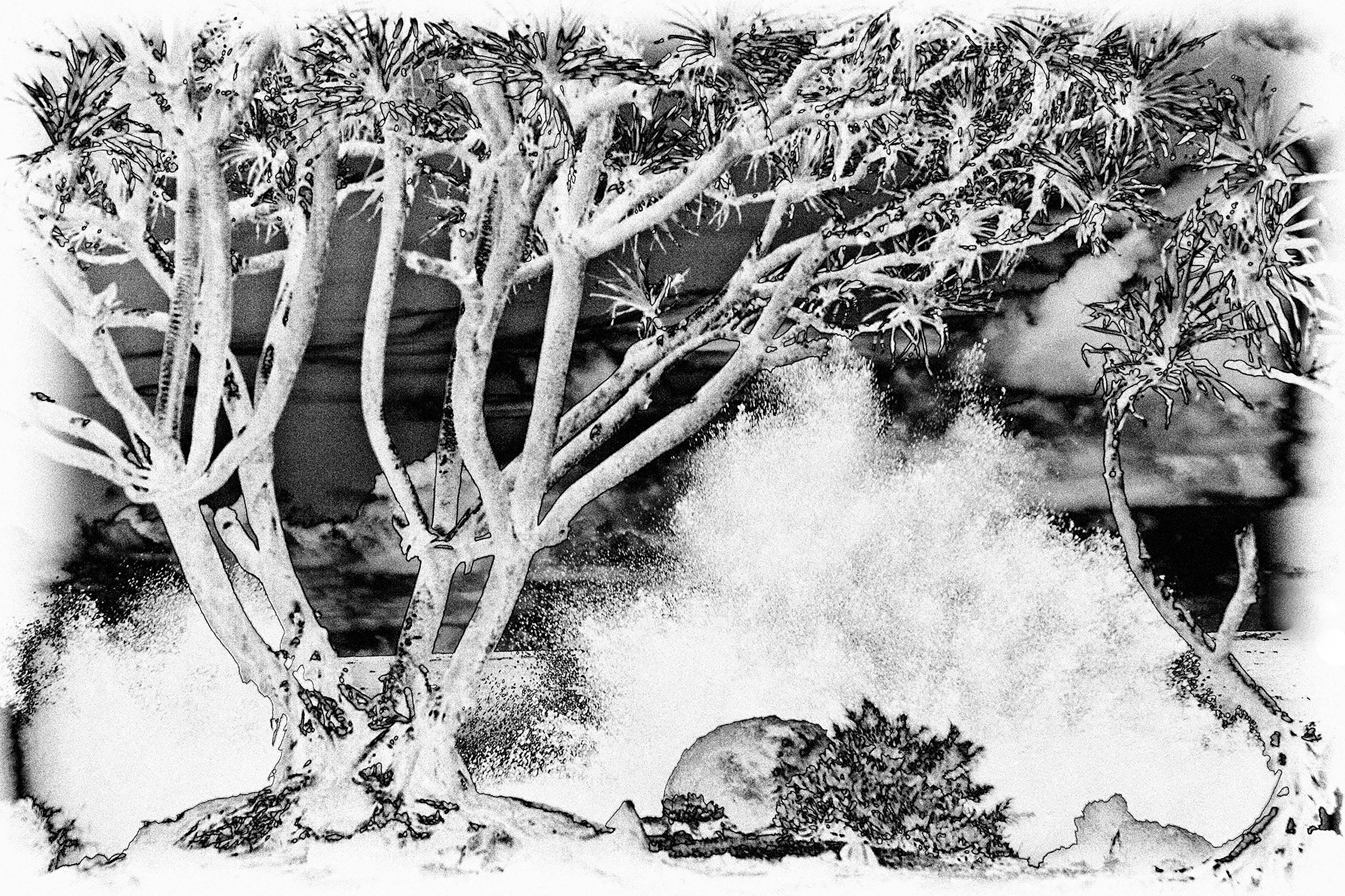 Holly Gordon Black and White Photograph - Water Music Series #0316 : landscape photography 