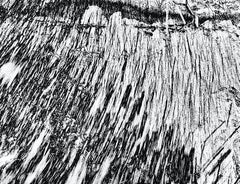 Water Music Series #4996 : landscape photography