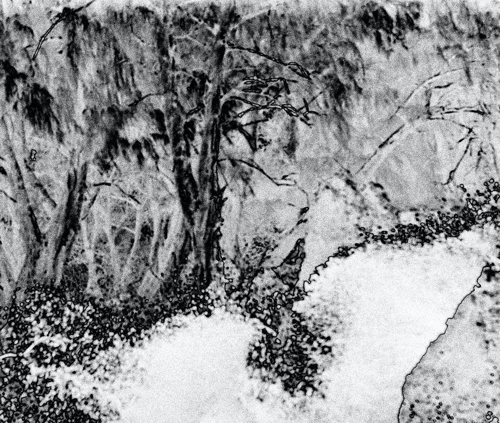 Wassermusik-Serie #5037: Landschaftsfotografie (Impressionismus), Photograph, von Holly Gordon