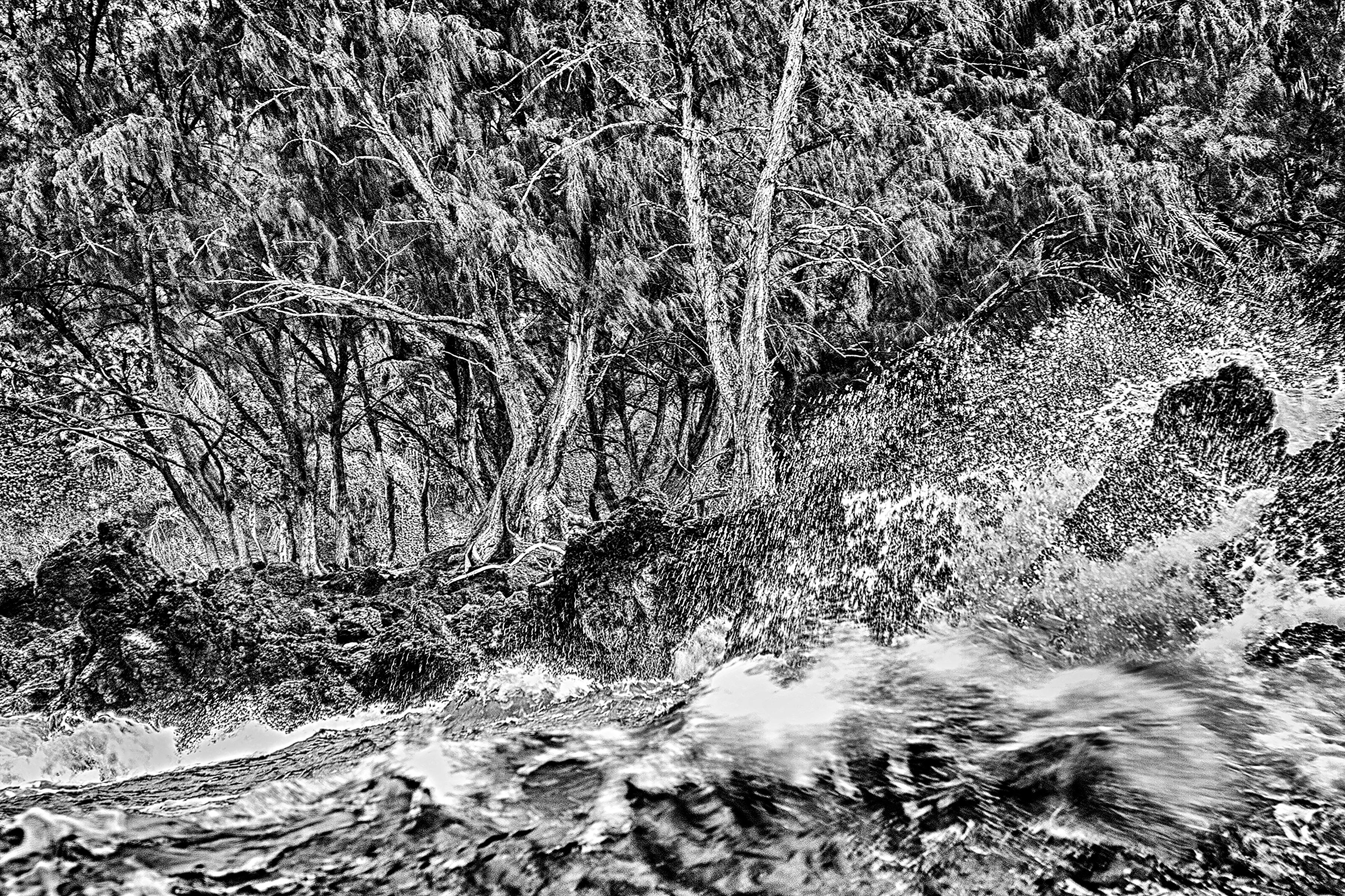 Holly Gordon Black and White Photograph - Water Music Series #5055 : landscape photography