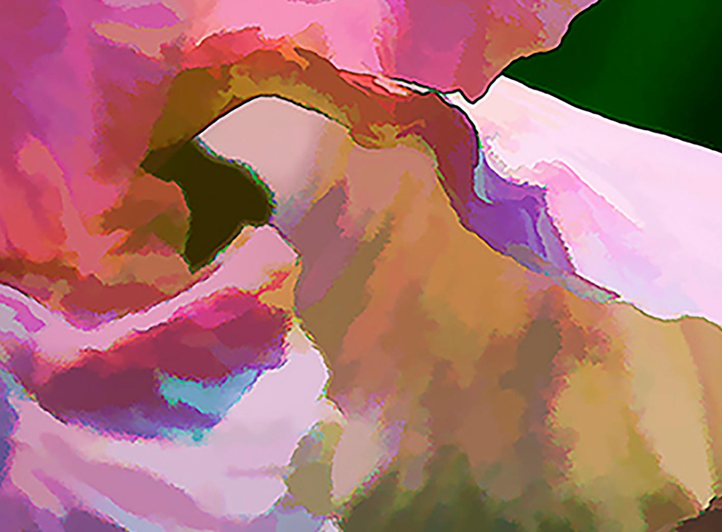 Iris #3 : Archival pigment print - Photograph by Holly Gordon