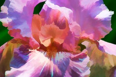 Iris #3: Archivalischer Pigmentdruck