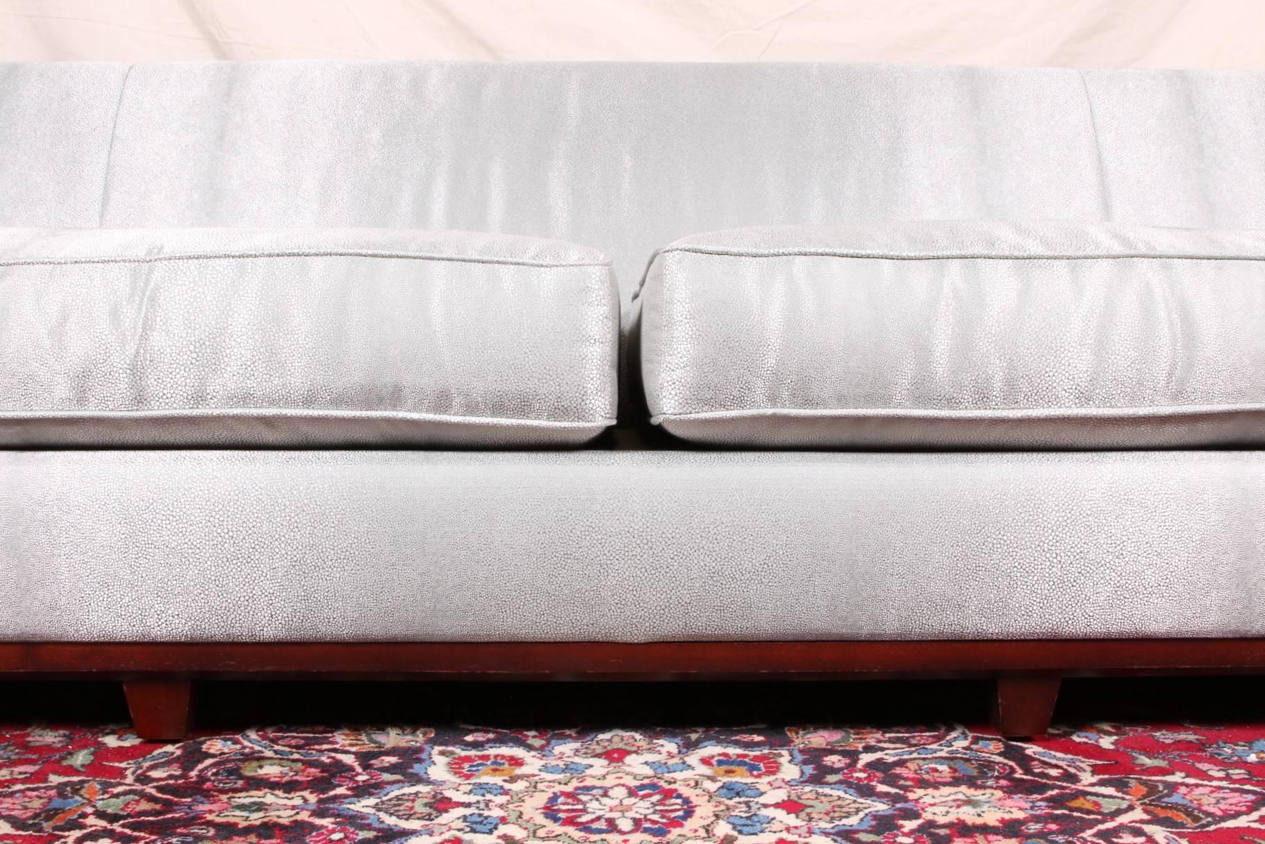 sofa shark