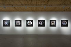 Ascent Large Format Contemporary Photograph on Paper, 2010-