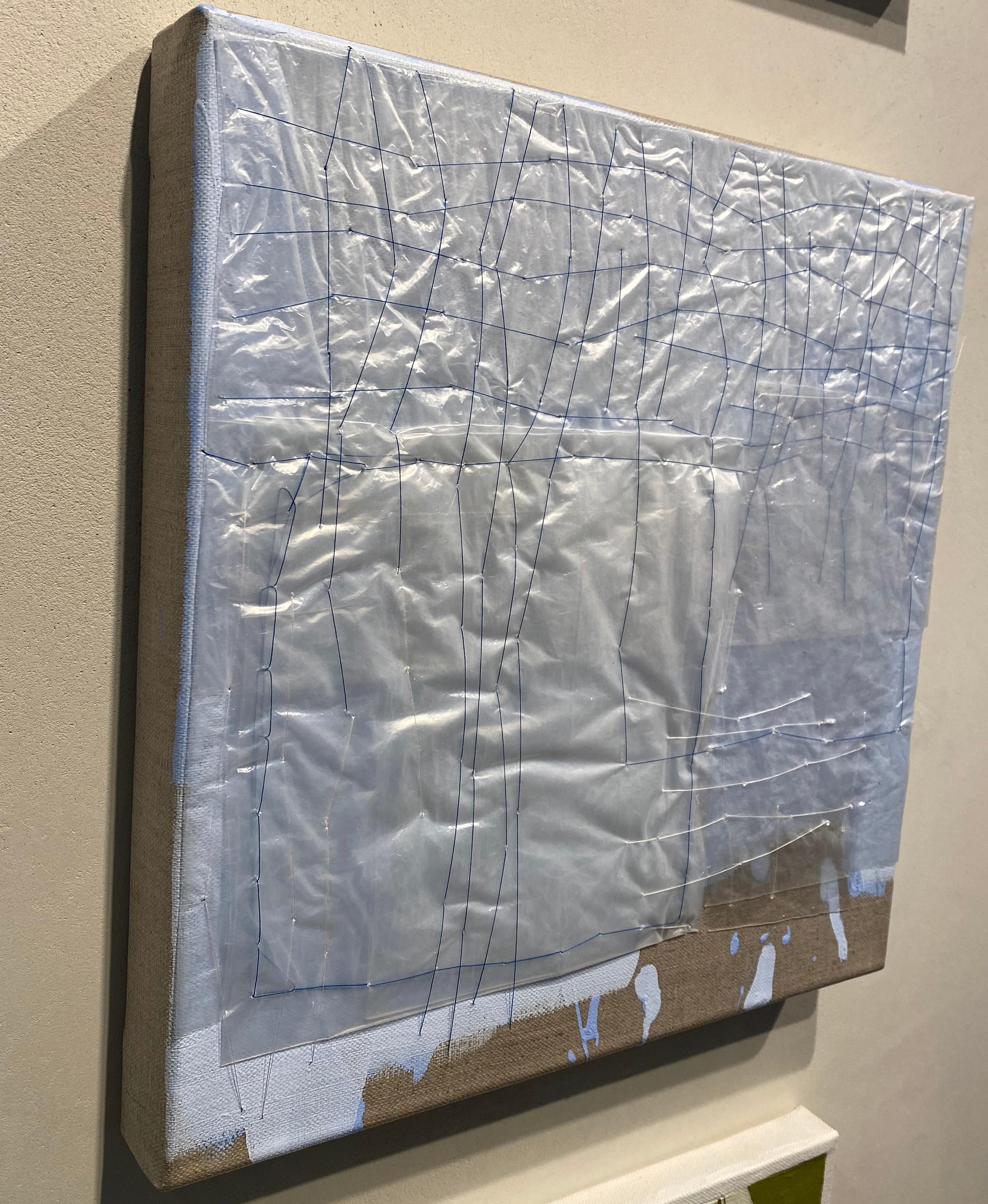 plastic bags for canvas paintings