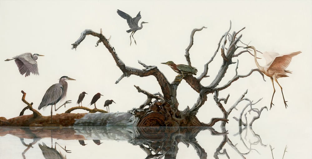Holly Sears Animal Painting - North Number Five, Great Blue Heron, Reddish Egret, Green Heron on Tree Branch