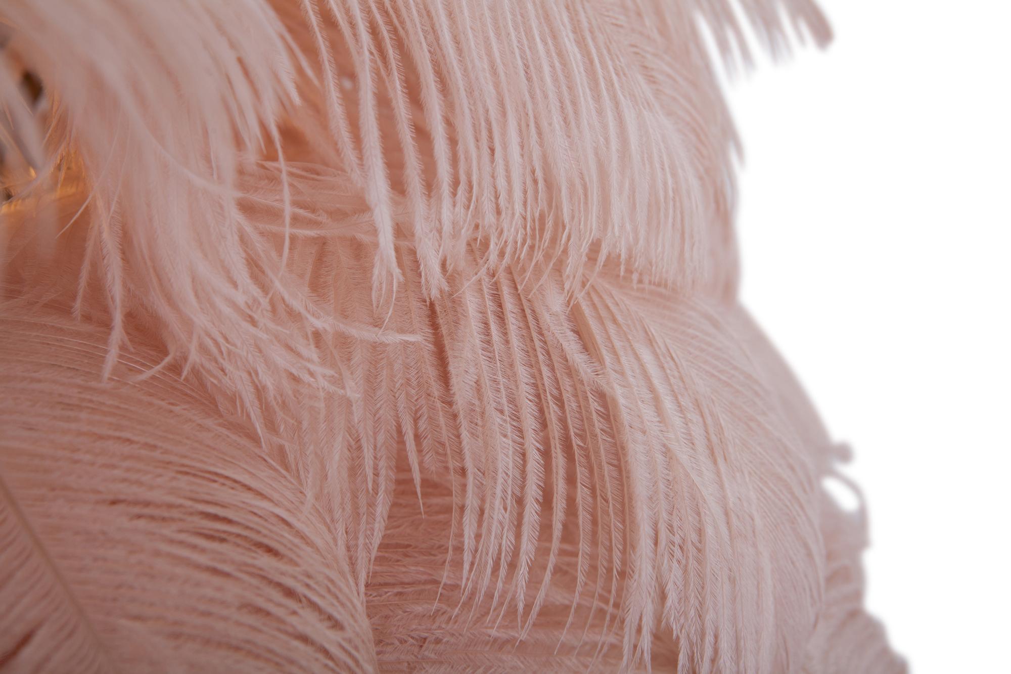 Contemporary Hollywood Regency Brass and Pink Feather Lamp
