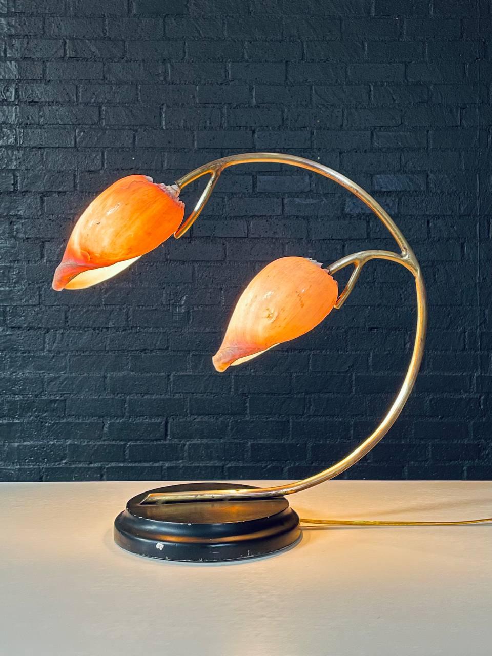 Condition: Newly Rewired 
Materials: Conch Seashell Shades, Patinated Brass, Black Painted Base 

This sculptural table lamp beautifully captures the essence of Hollywood Regency glamour with its graceful brass arch and twin conch seashell shades.