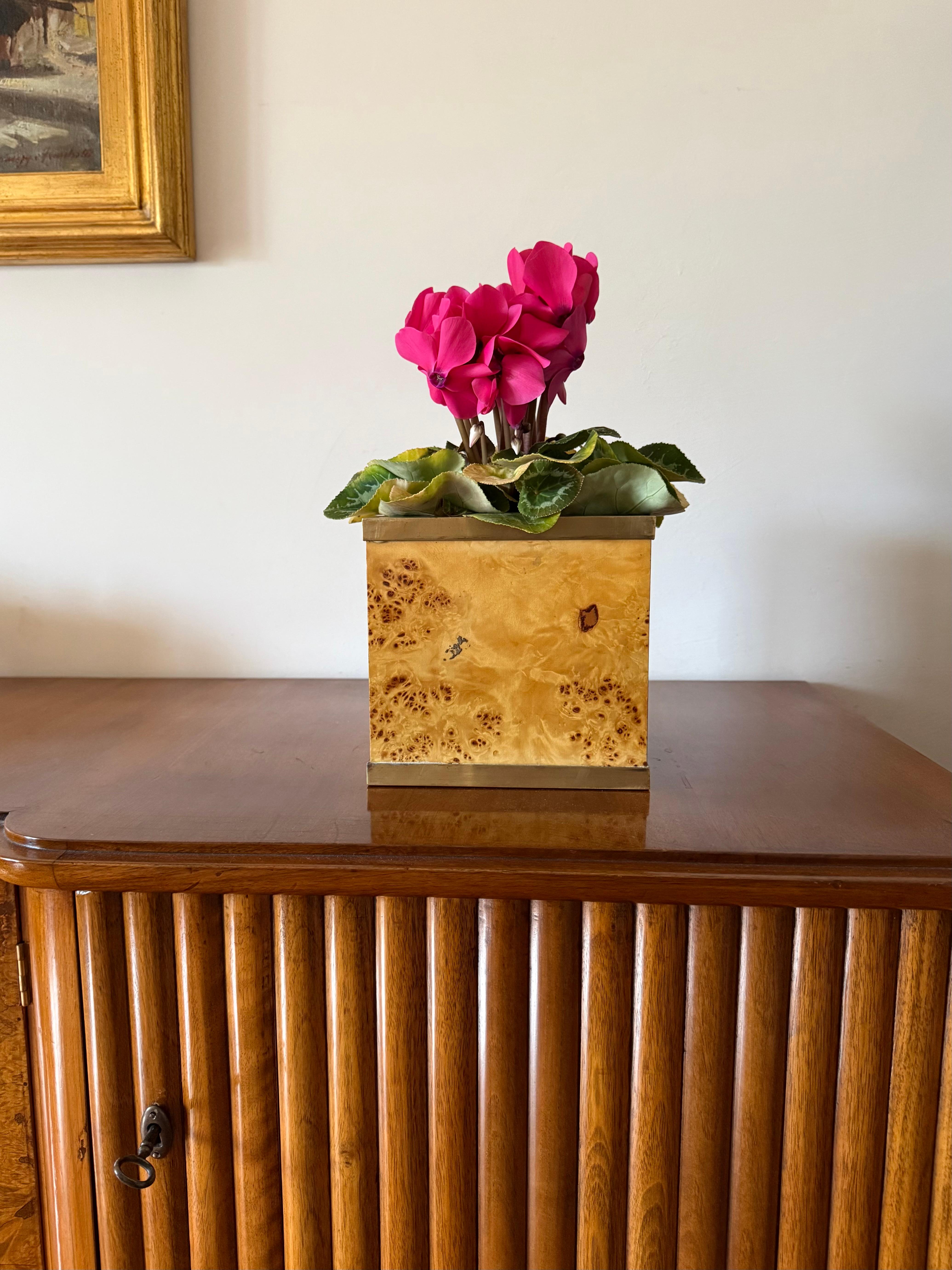 italien Pot à plantes en loupe et laiton de style régence hollywoodienne, Vivai del Sud Italie 1970 en vente