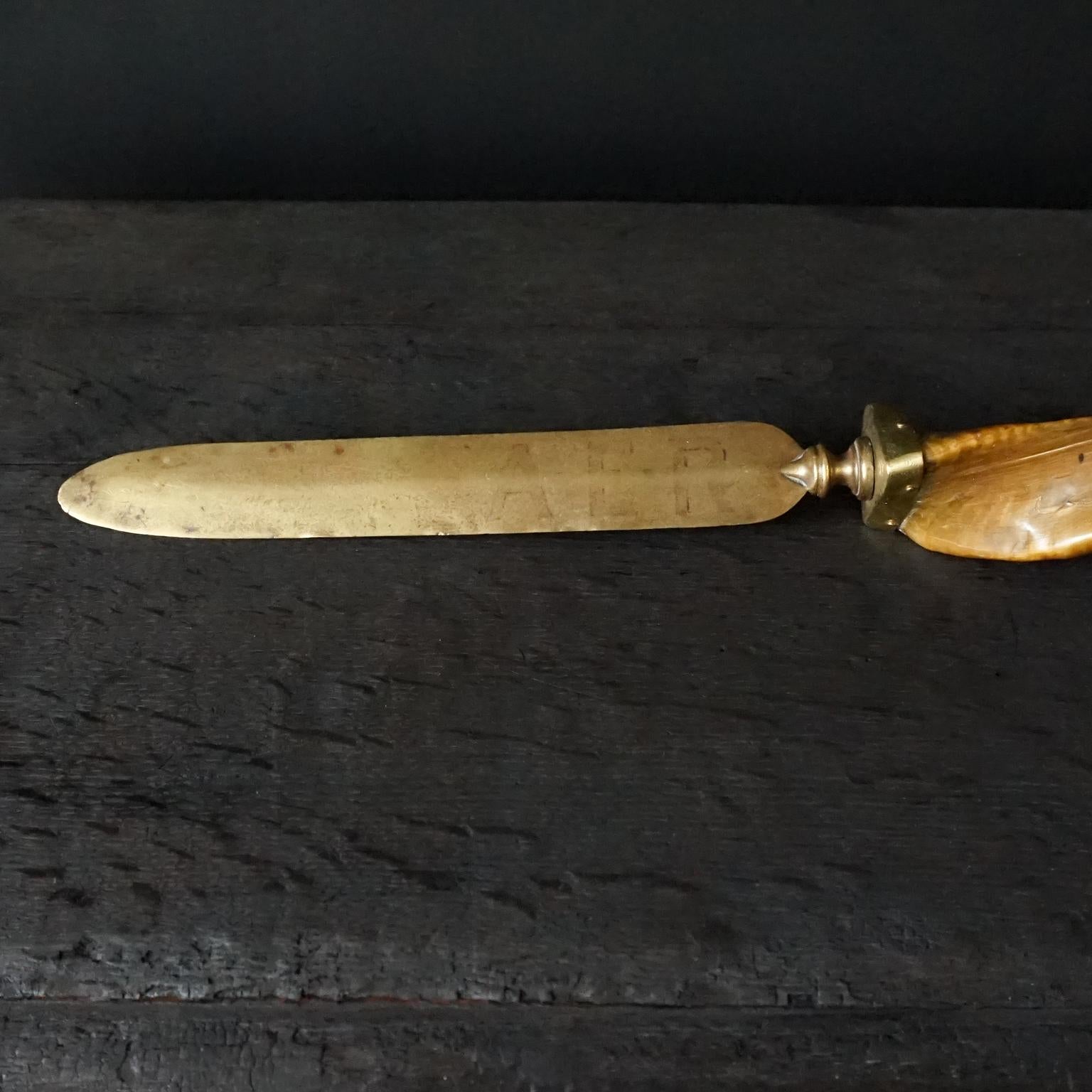 Hollywood Regency Early 20th Century Page Turner or Letter Opener Horn and Brass For Sale 3