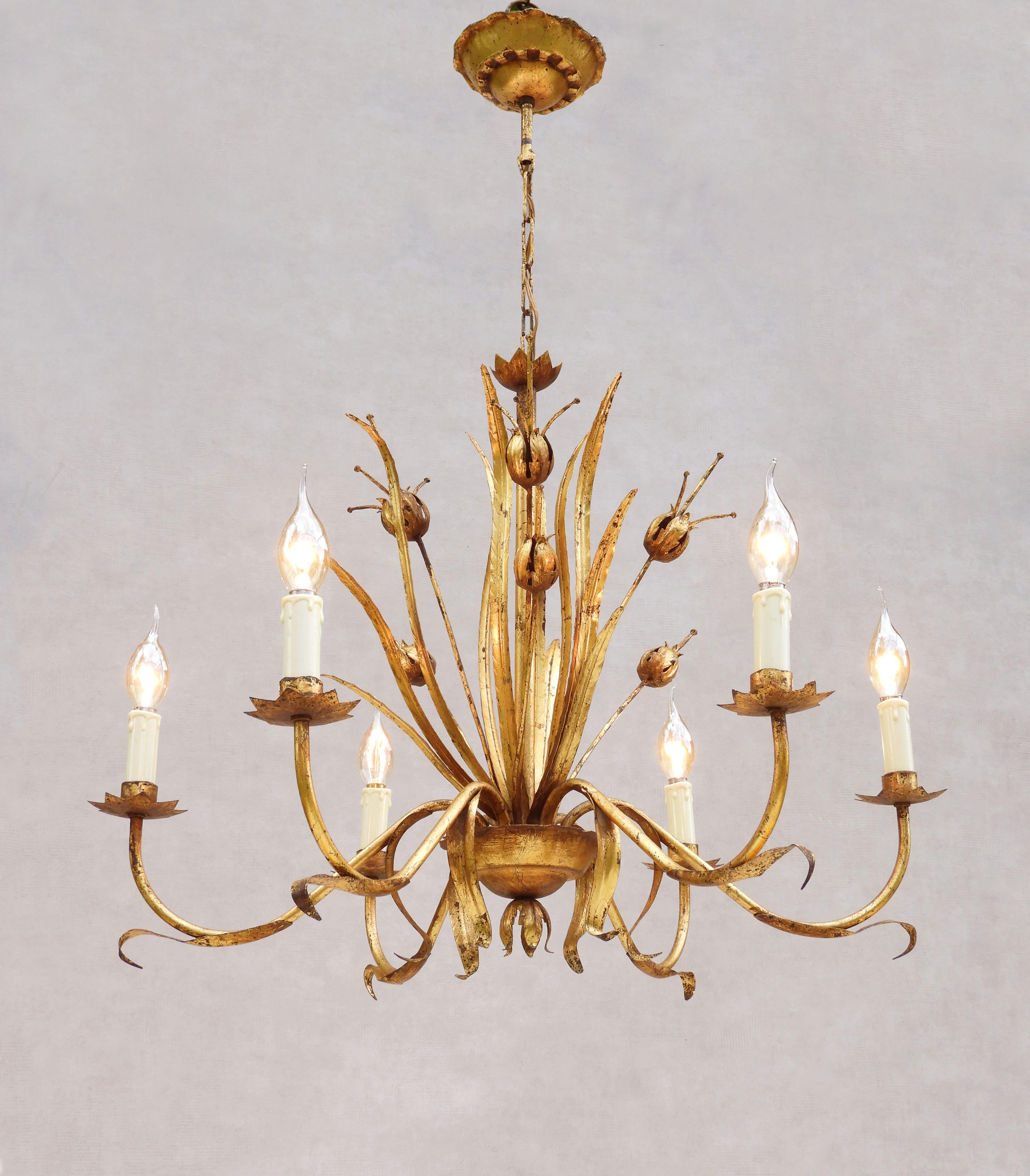 Splendido lampadario a tema botanico proveniente dalla Spagna della metà del XX secolo. 
Un grande lampadario a tôle dorato con uno spruzzo centrale di baccelli di semi e un lungo fogliame slanciato circondato da sei candele 