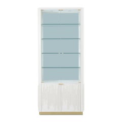Hollywood Regency Glass Door Bookcase