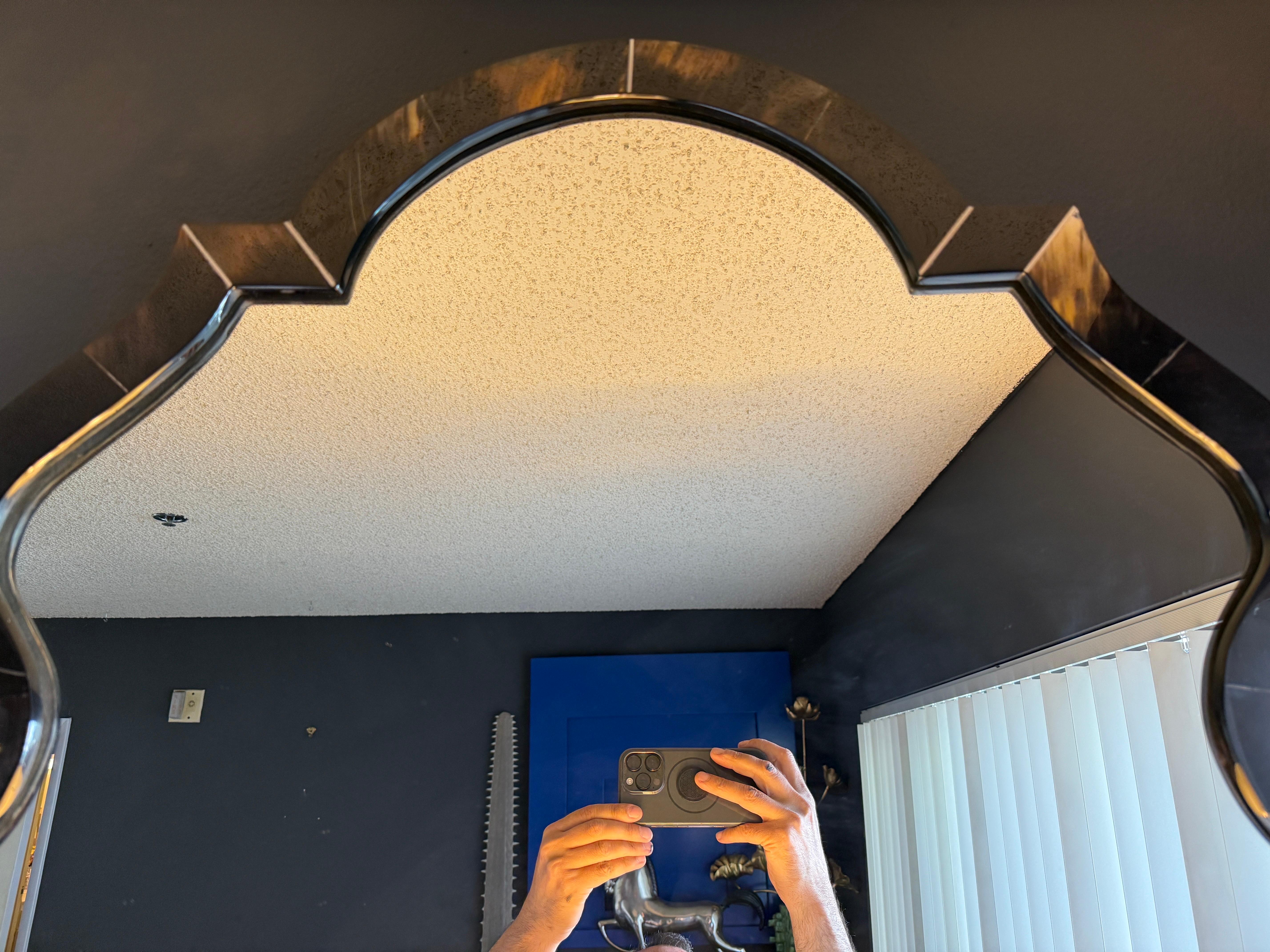 Chippendale Hollywood Regency Horn Veneer and Resin Wall Mirror For Sale