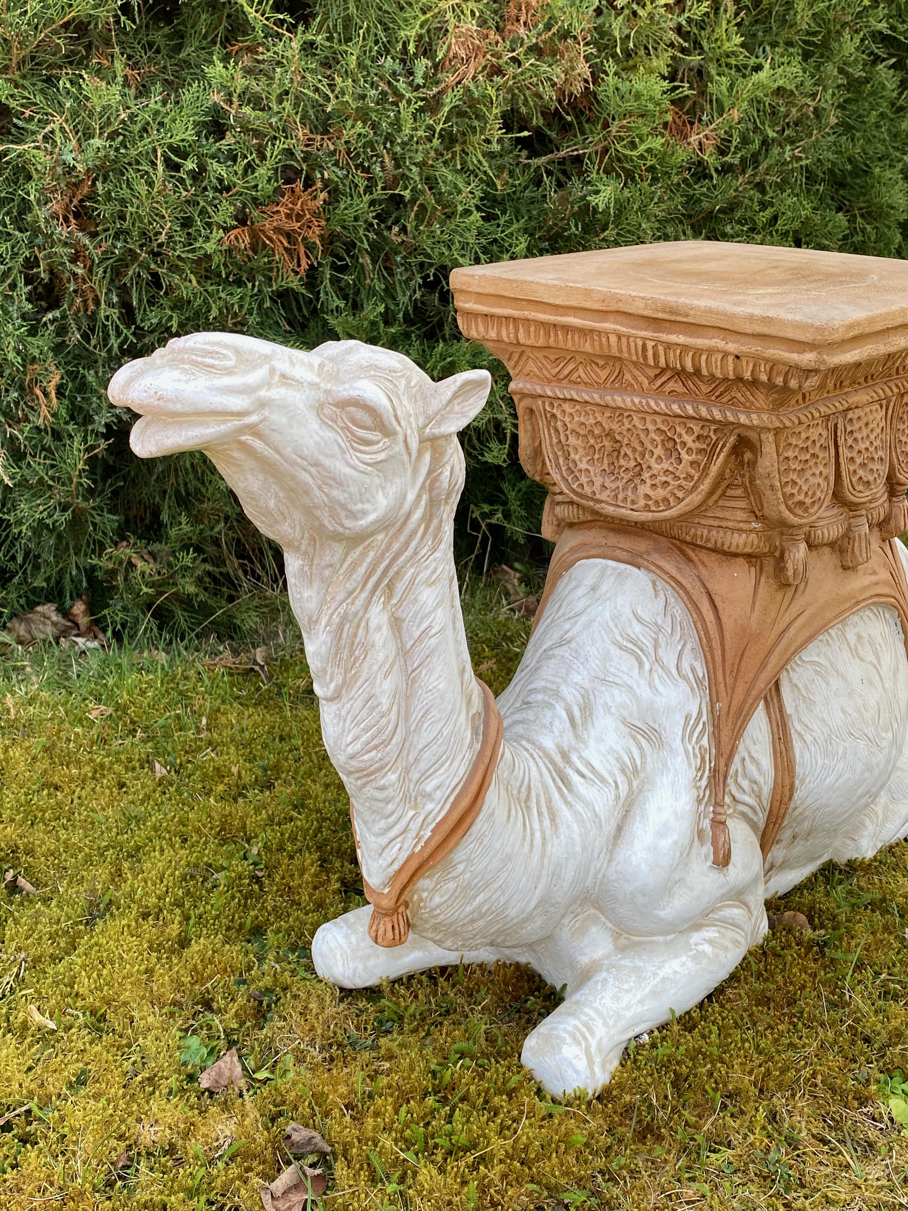 camel seat