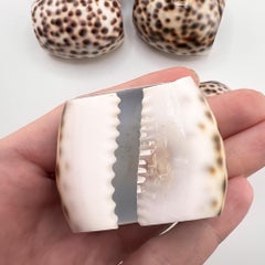 Hollywood Regency Satz von 8 natürlichen Tiger Cowrie Shell Serviettenringe