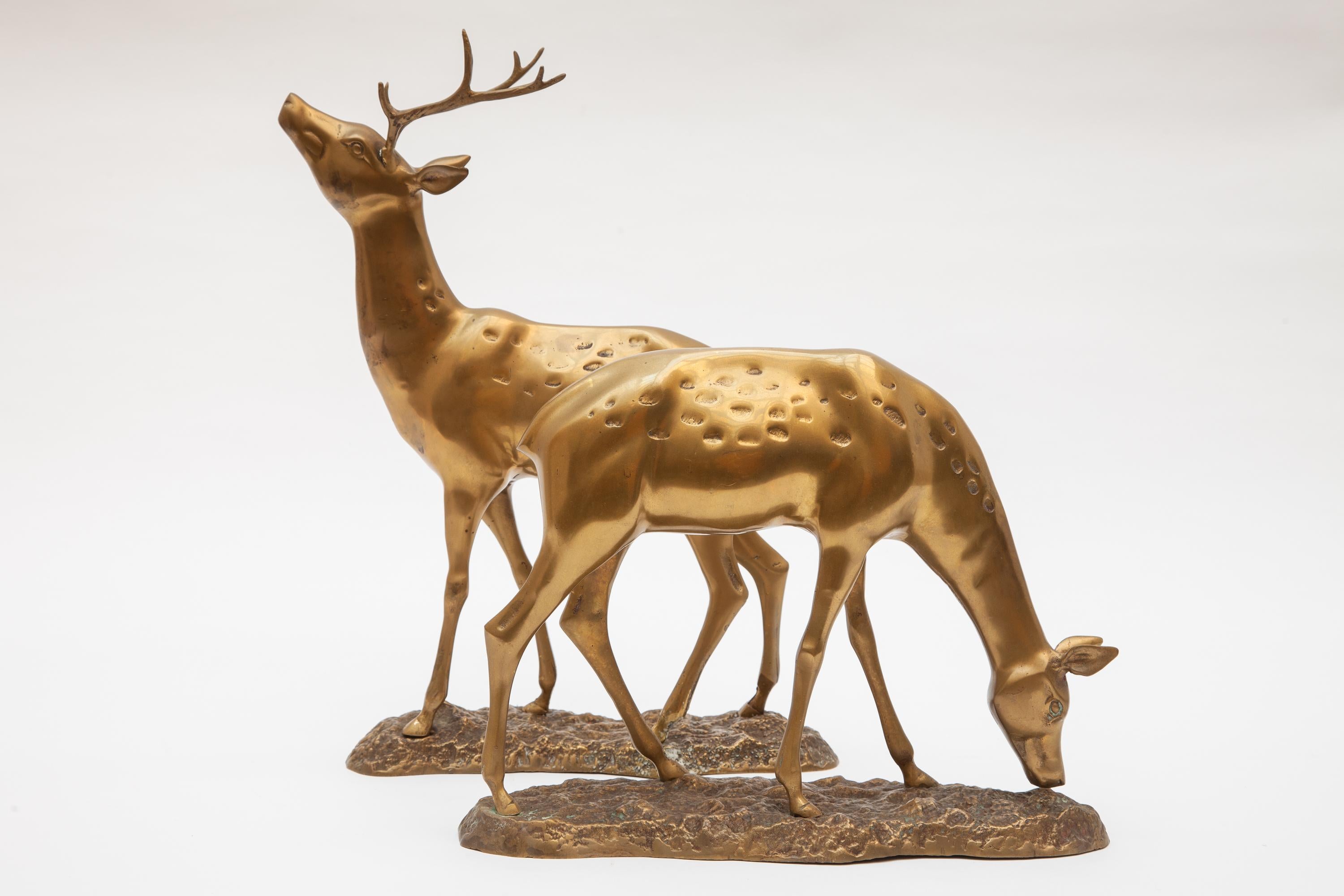 A pair of decorative brass deer and doe in natural poses make up the set.
A beautiful set for a decorative addition in your living room or library.