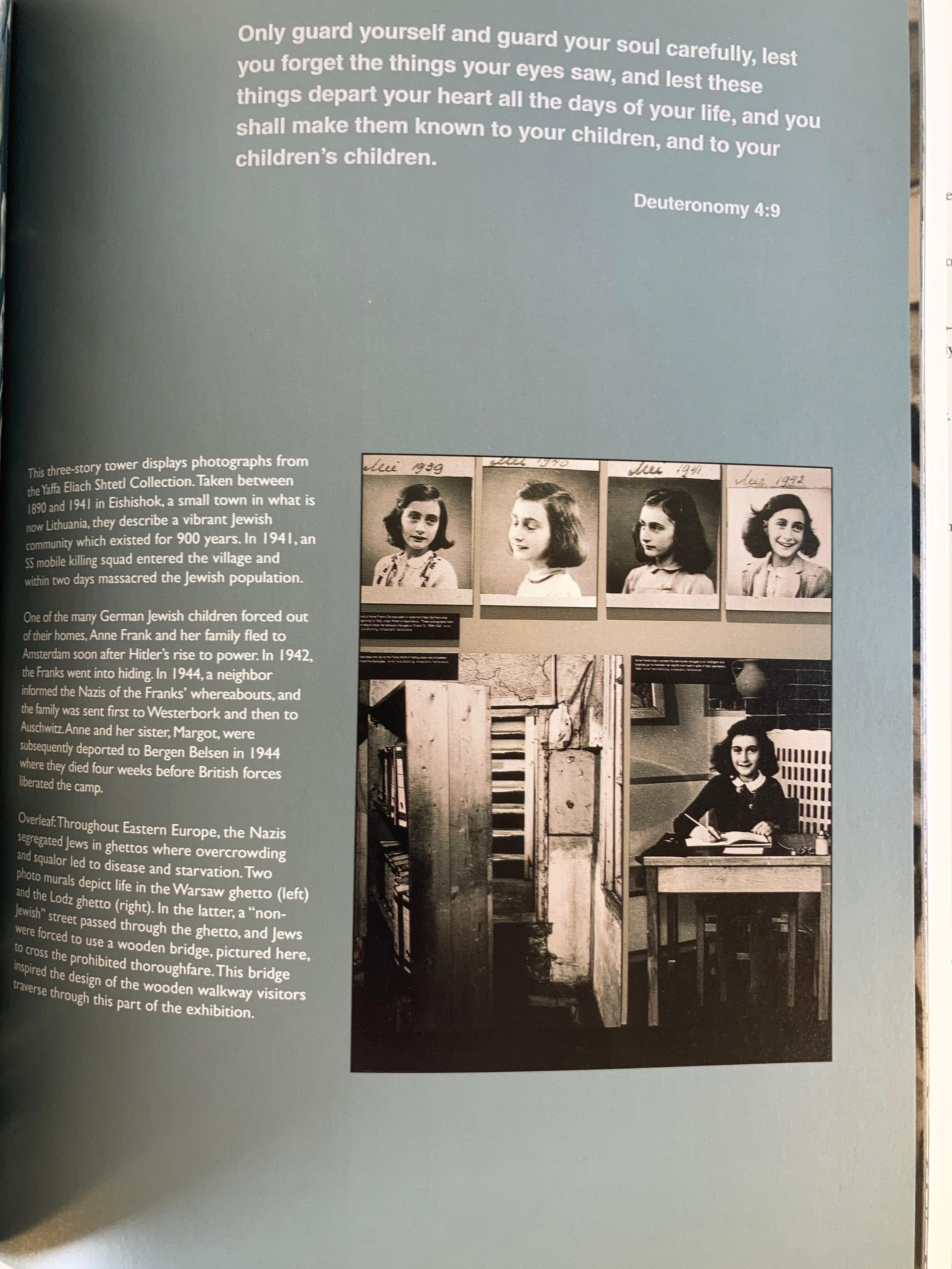 Holocaust Museum in Washington Hardcover 1995 by Jeshajahu Weinb Rina Elieli For Sale 5