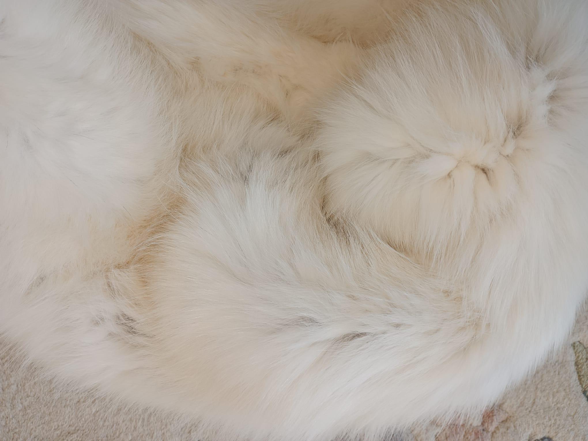 Holt Renfrew White Fox Fur Cape Shrug Stole Boa wedding in vendita 5