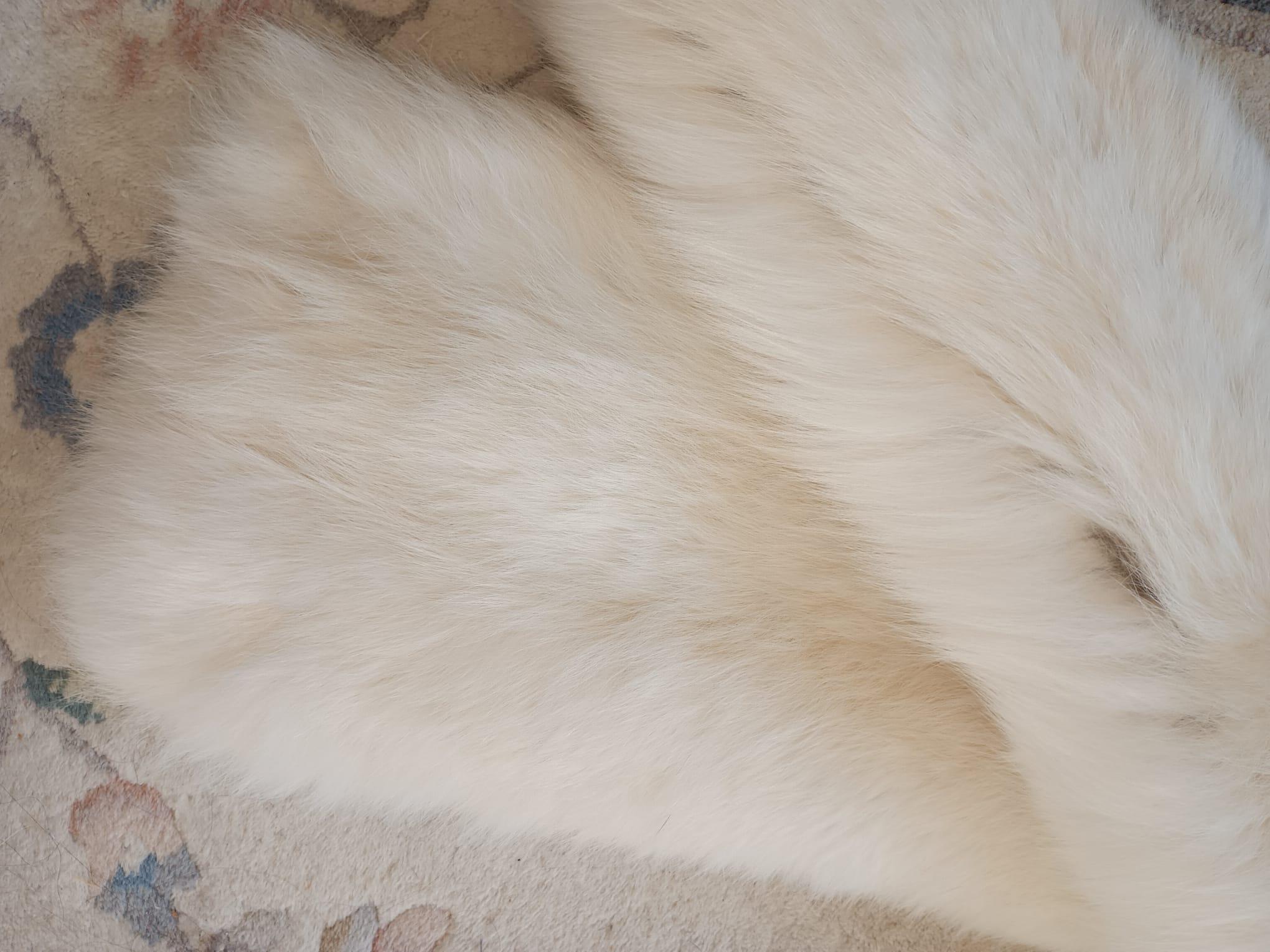 Holt Renfrew White Fox Fur Cape Shrug Stole Boa wedding in vendita 4