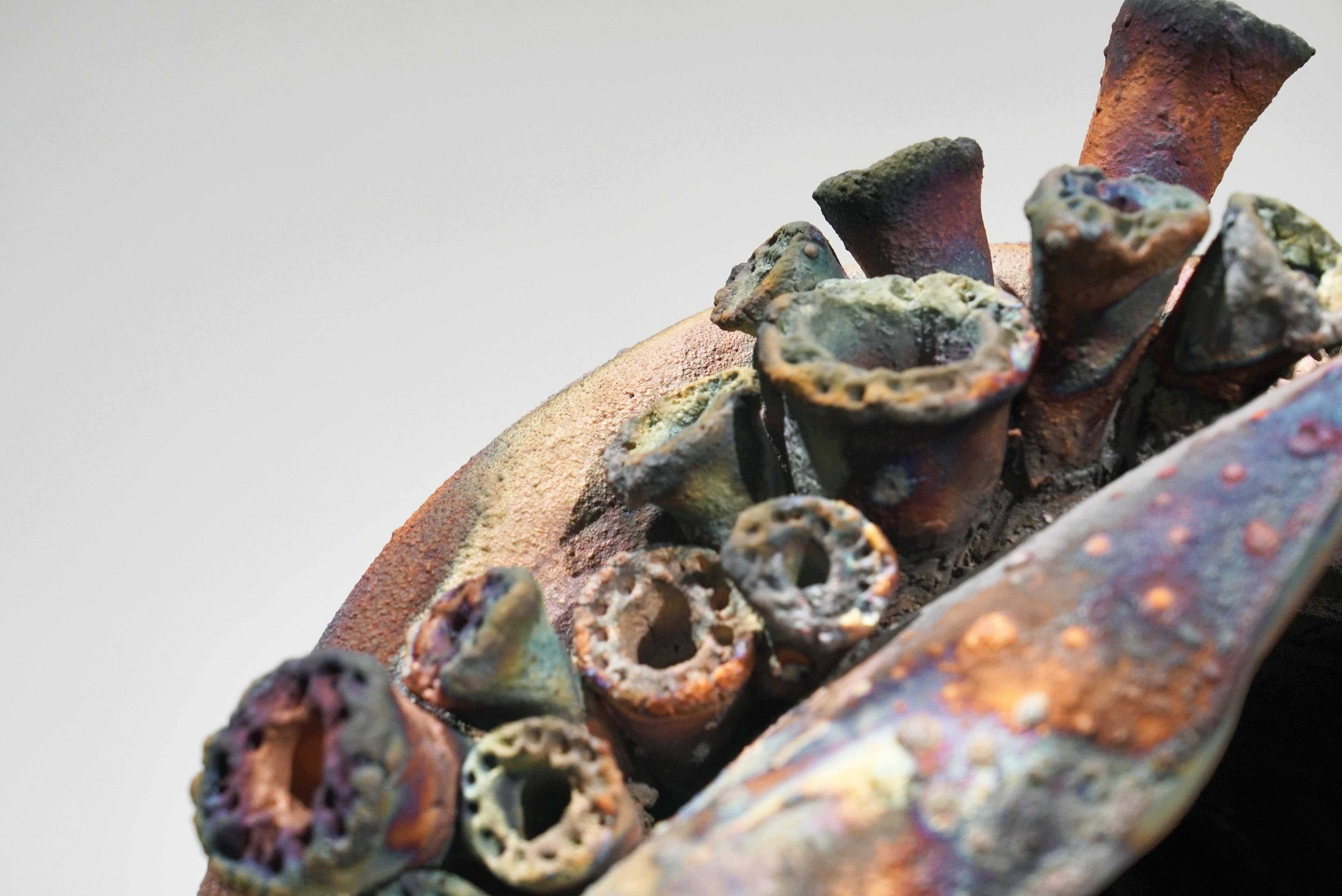 Contemporary Home - life magnified collection raku ceramic pottery sculpture by Adil Ghani For Sale