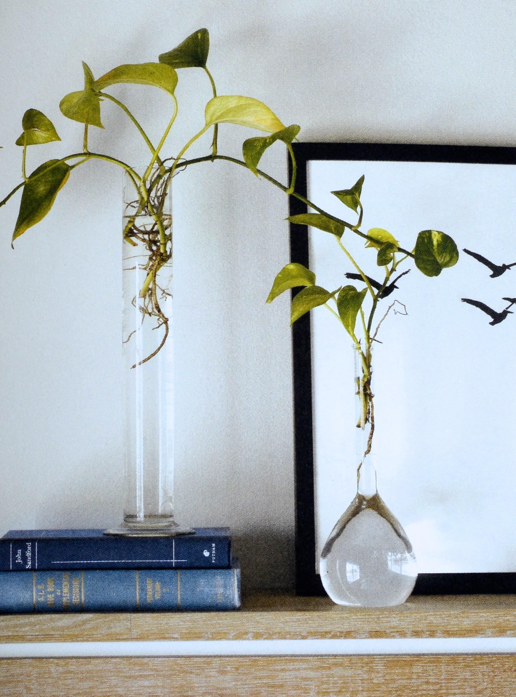 Homebody: A Guide to Creating Spaces You Never Want to Leave de Joanna Gaines en vente 2