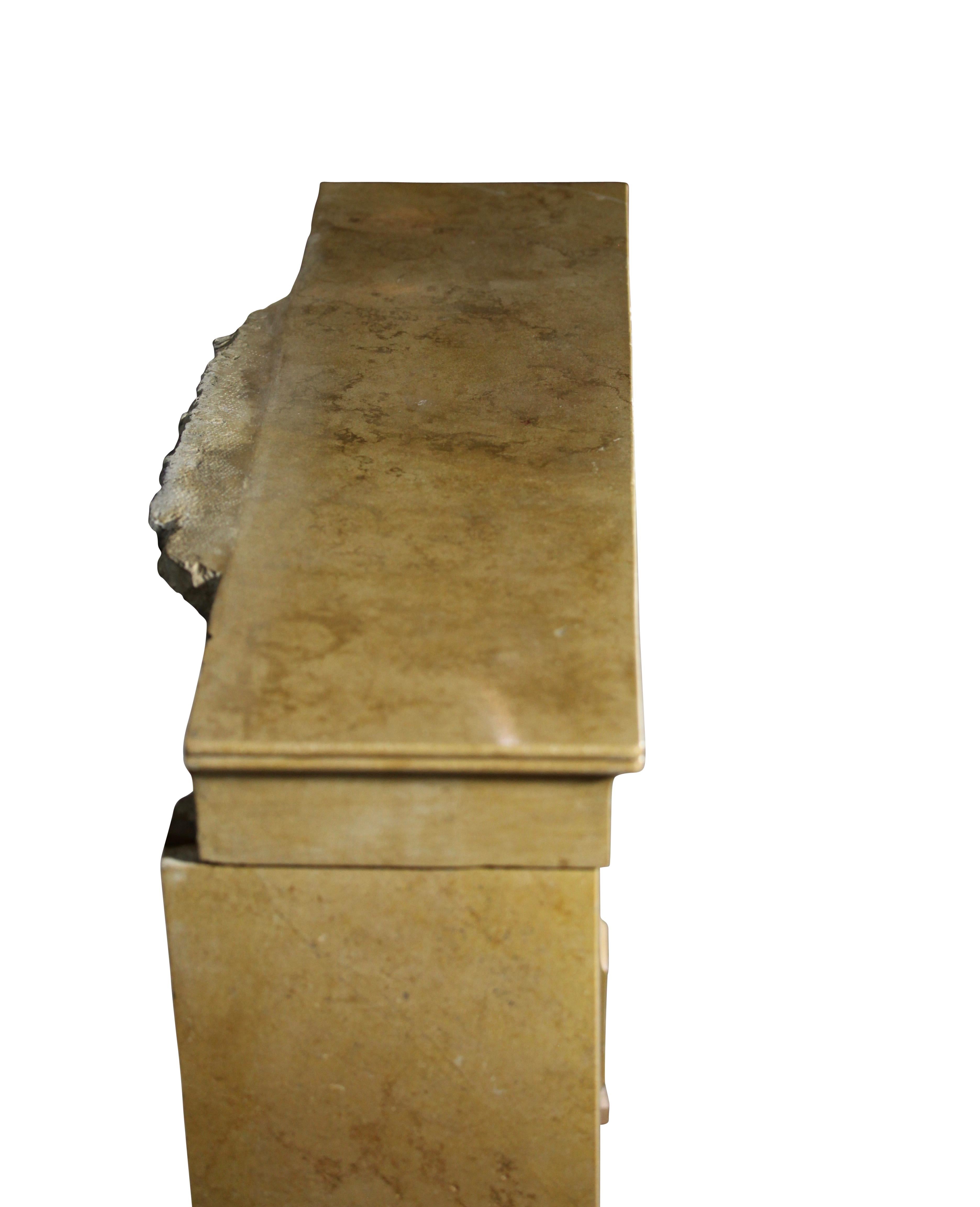 Entorno de Chimenea Antiguo de Piedra Caliza Francesa Color Miel en venta 6