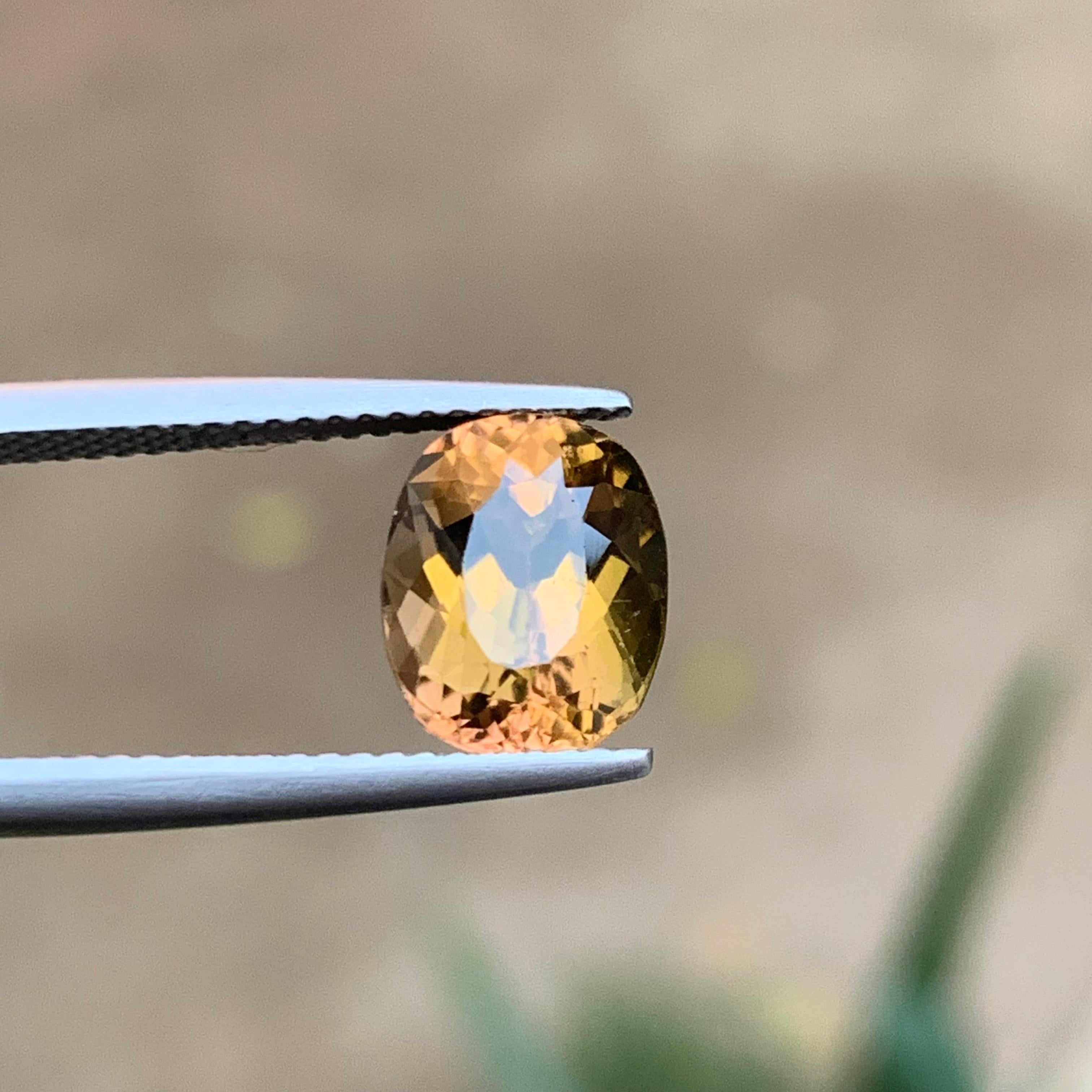 Honey Golden with Green & Greene Greene Natural Tourmaline Loose Gemstone 3.50 Carat en vente 5