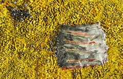 Chinese Contemporary Art by Hong Zhenyu - Porcelain Clay, Renewal Yellow No.01