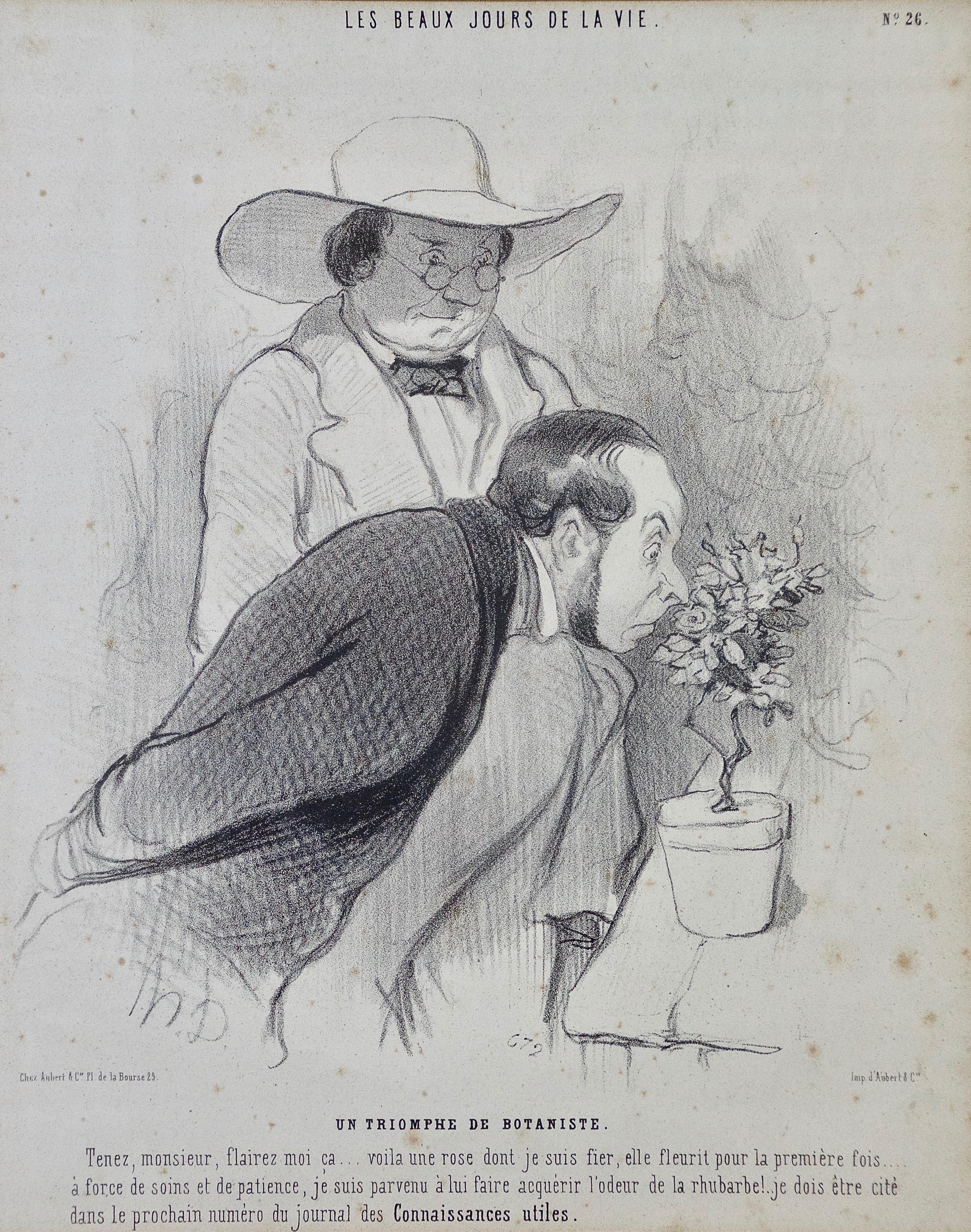 19th century botanist
