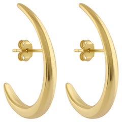 Hook Earrings