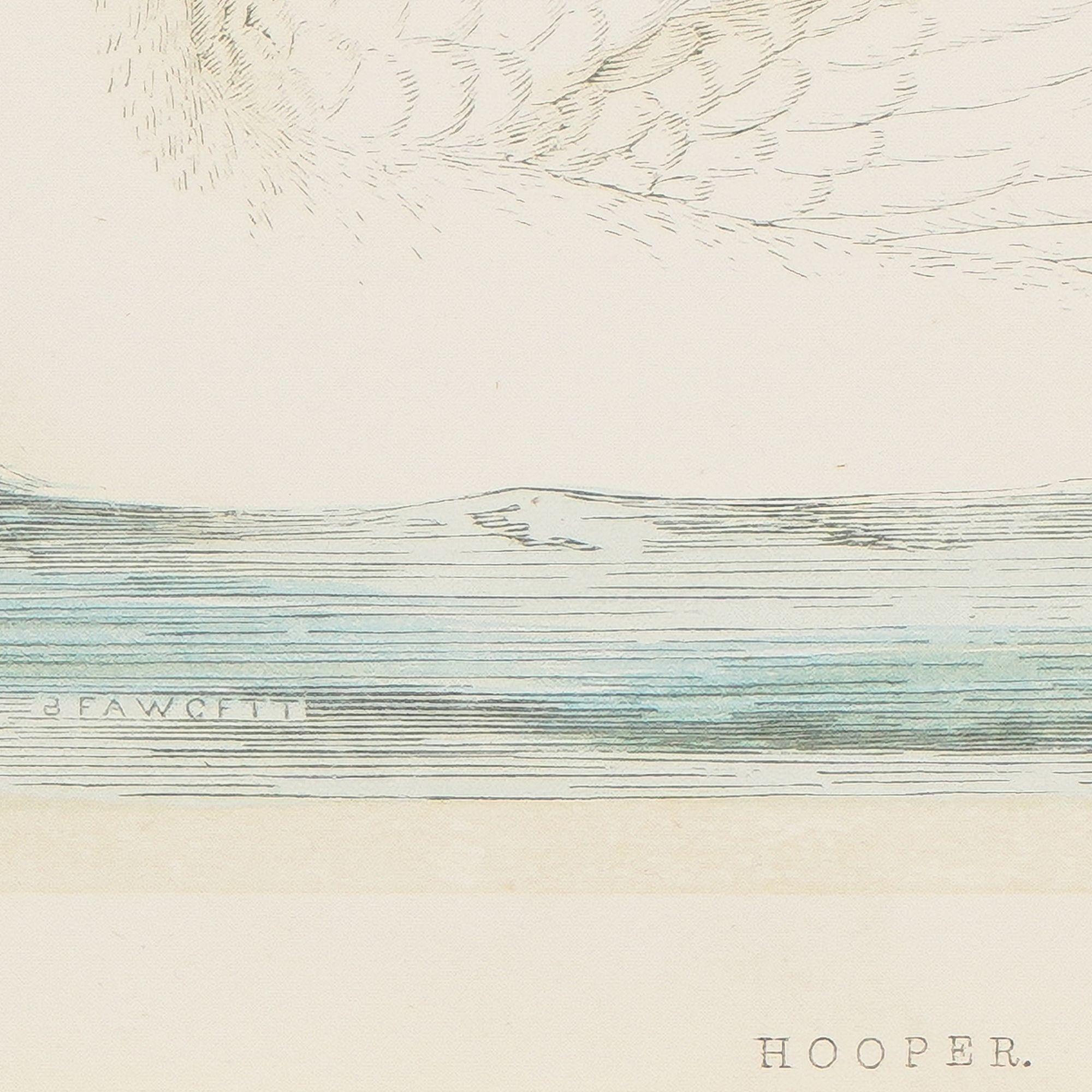 Hooper & Berwick's Swans by Benjamin Fawcett, 1851 4