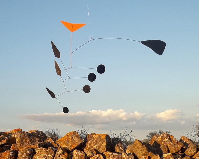 Hoopoe Mobile For Sale at 1stDibs