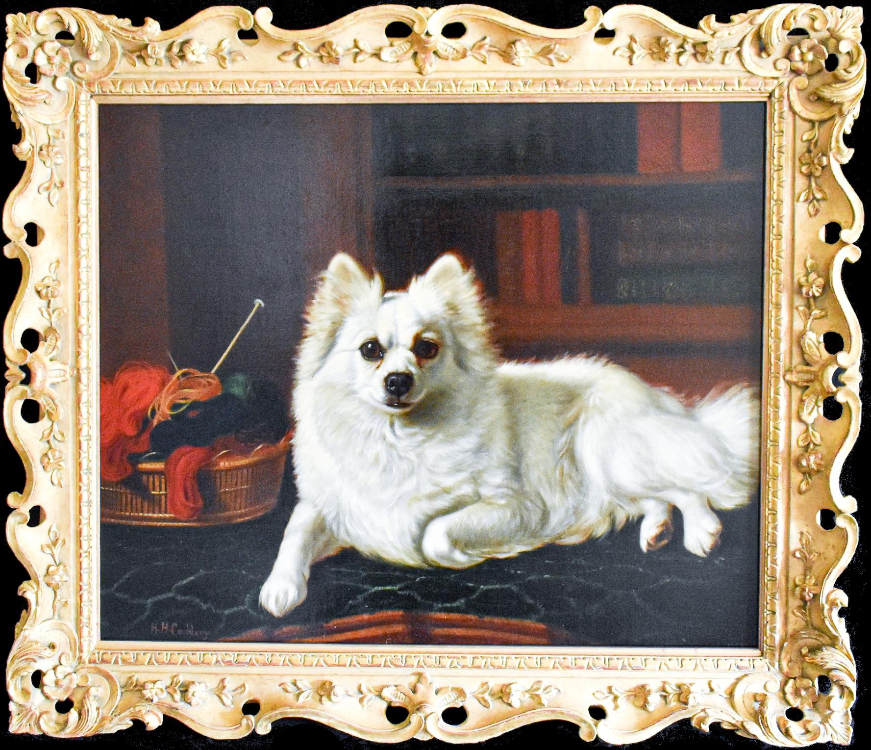 Un pomerania aristocrático