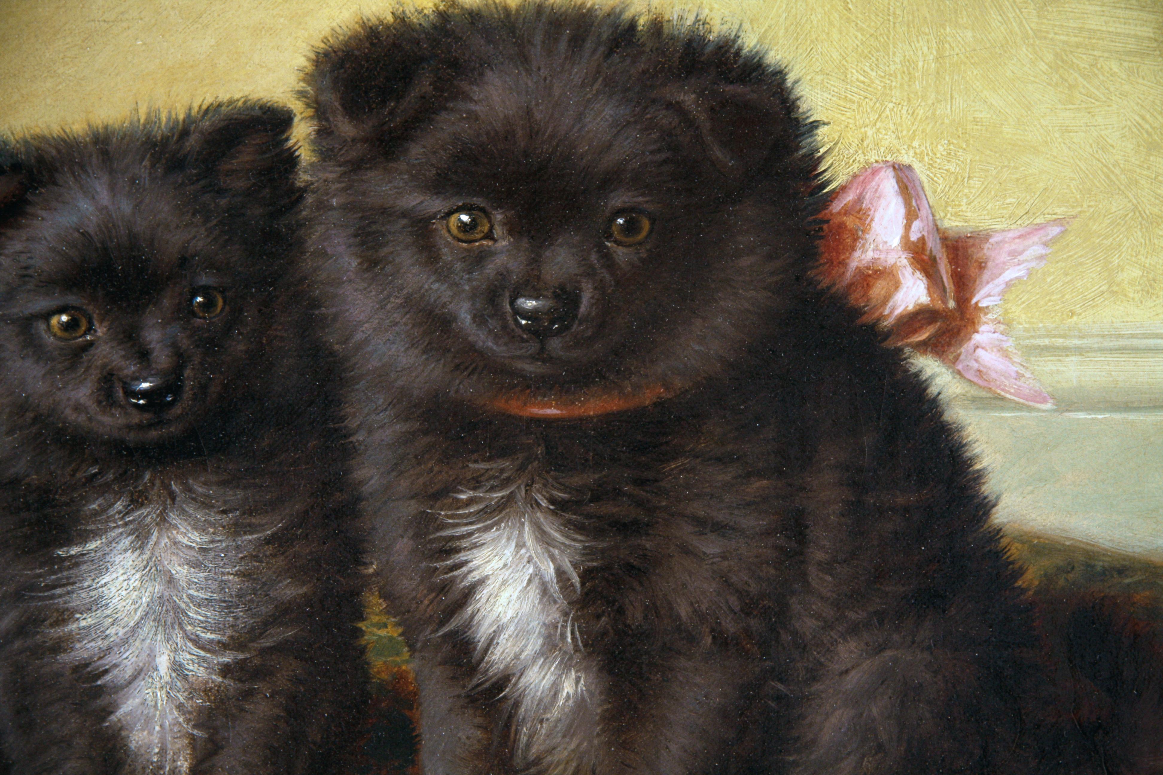 Sitting Pretty (Pomeranian Pups)  - Painting by Horatio Henry Couldery