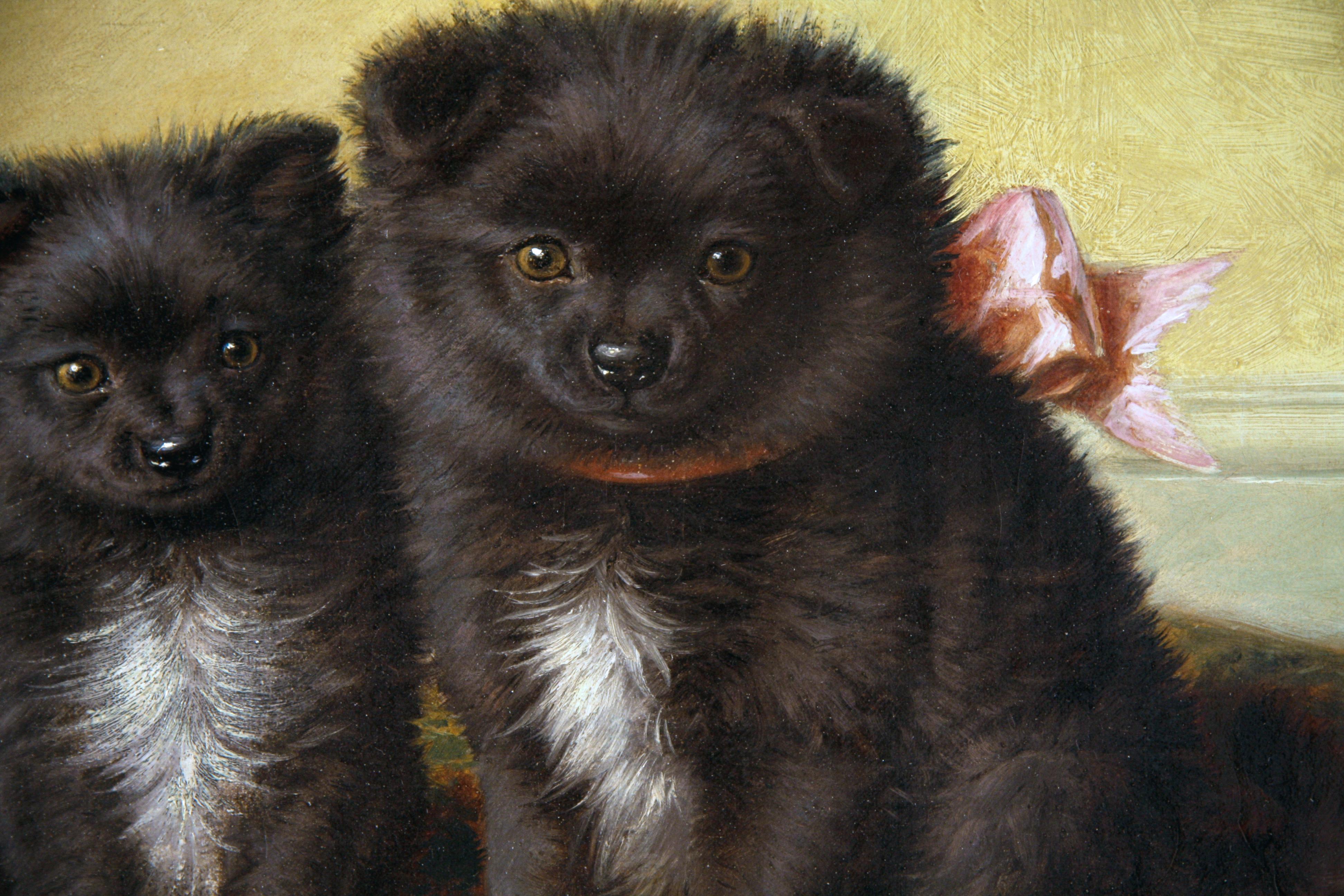 Sitting Pretty (Cuccioli di Pomerania) - Painting di Horatio Henry Couldery
